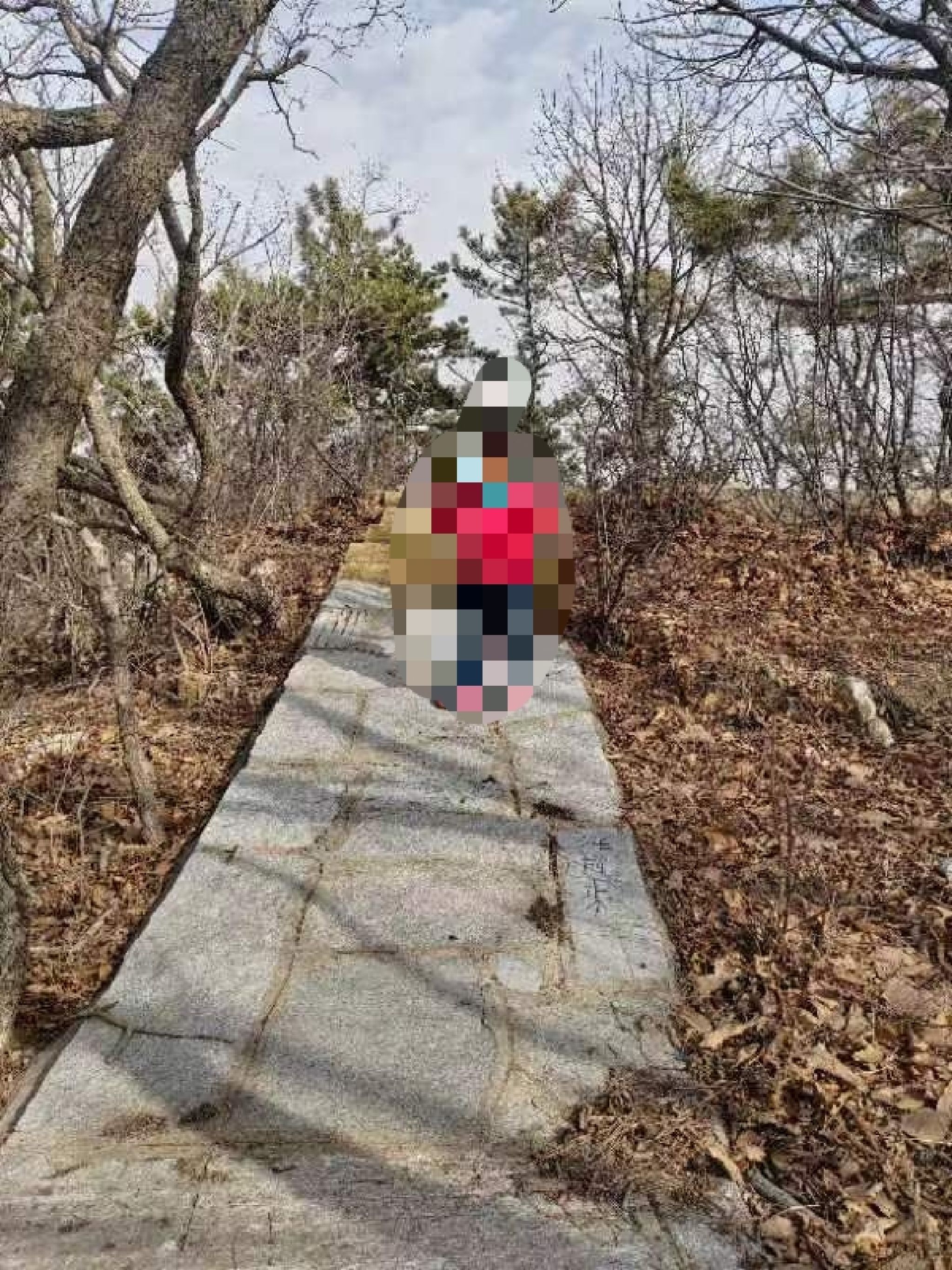 南山健身公园旅行图片 2
