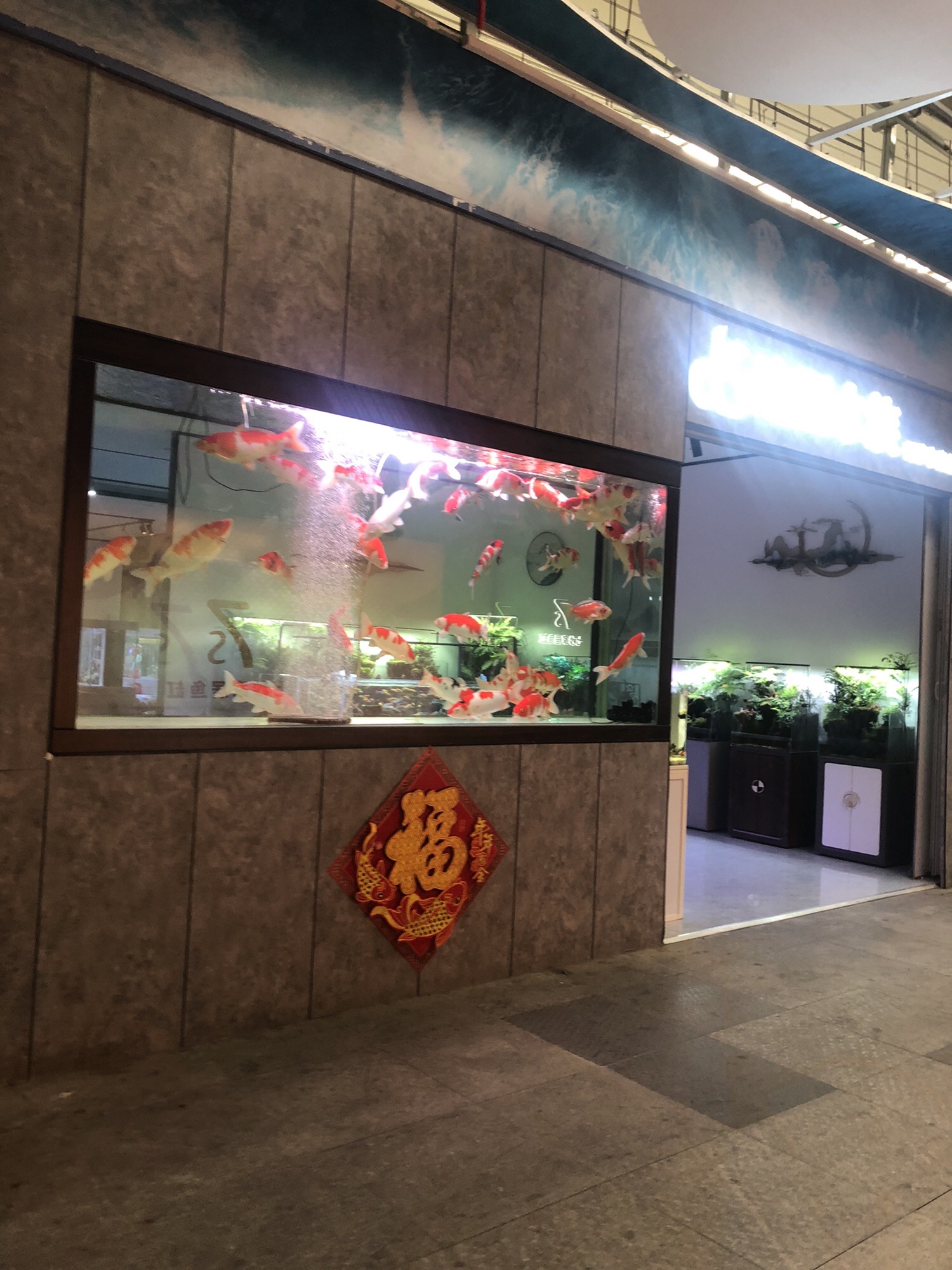 曹庄花卉观赏鱼厅花卉