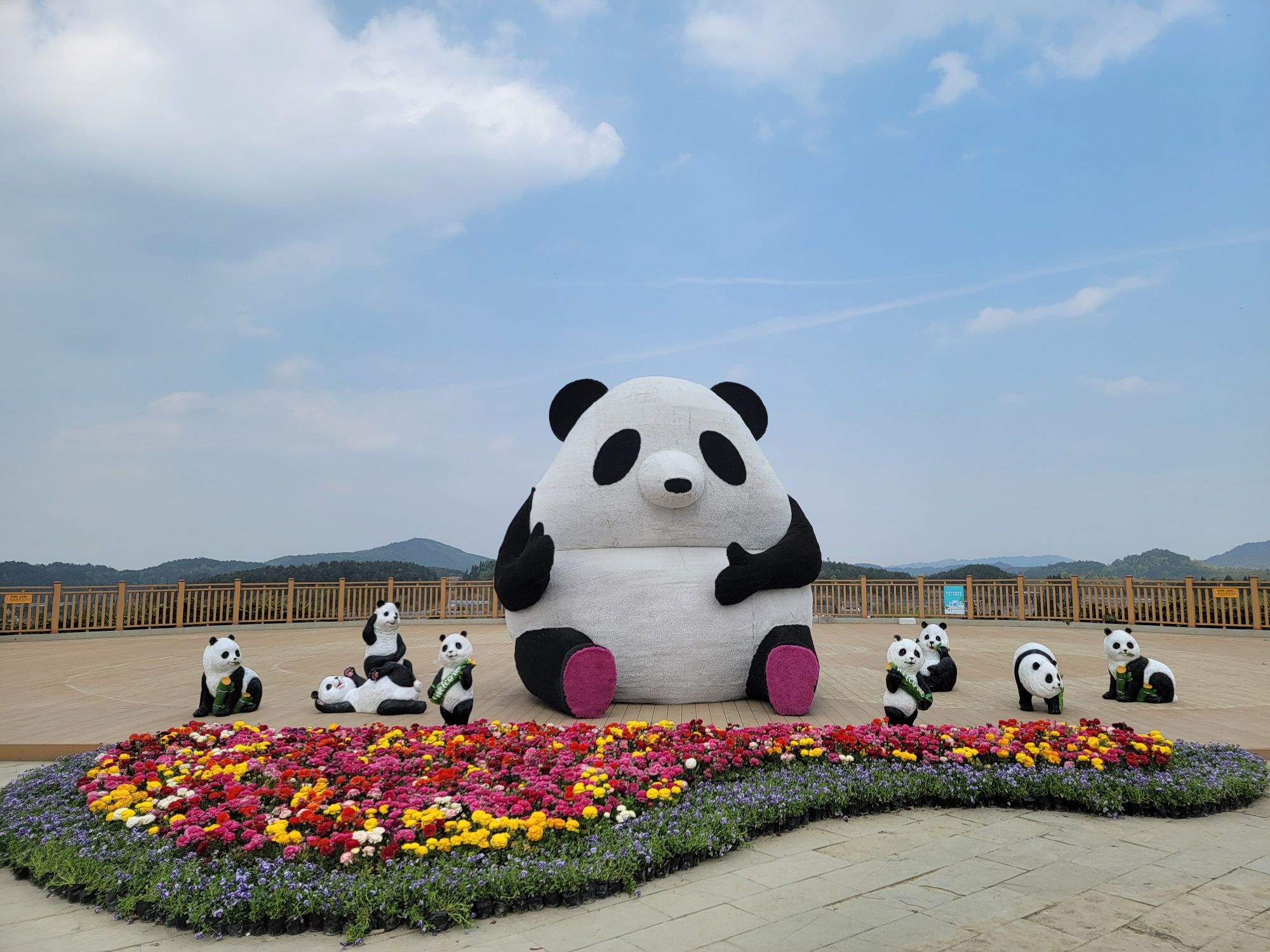 花画小镇旅行图片 3