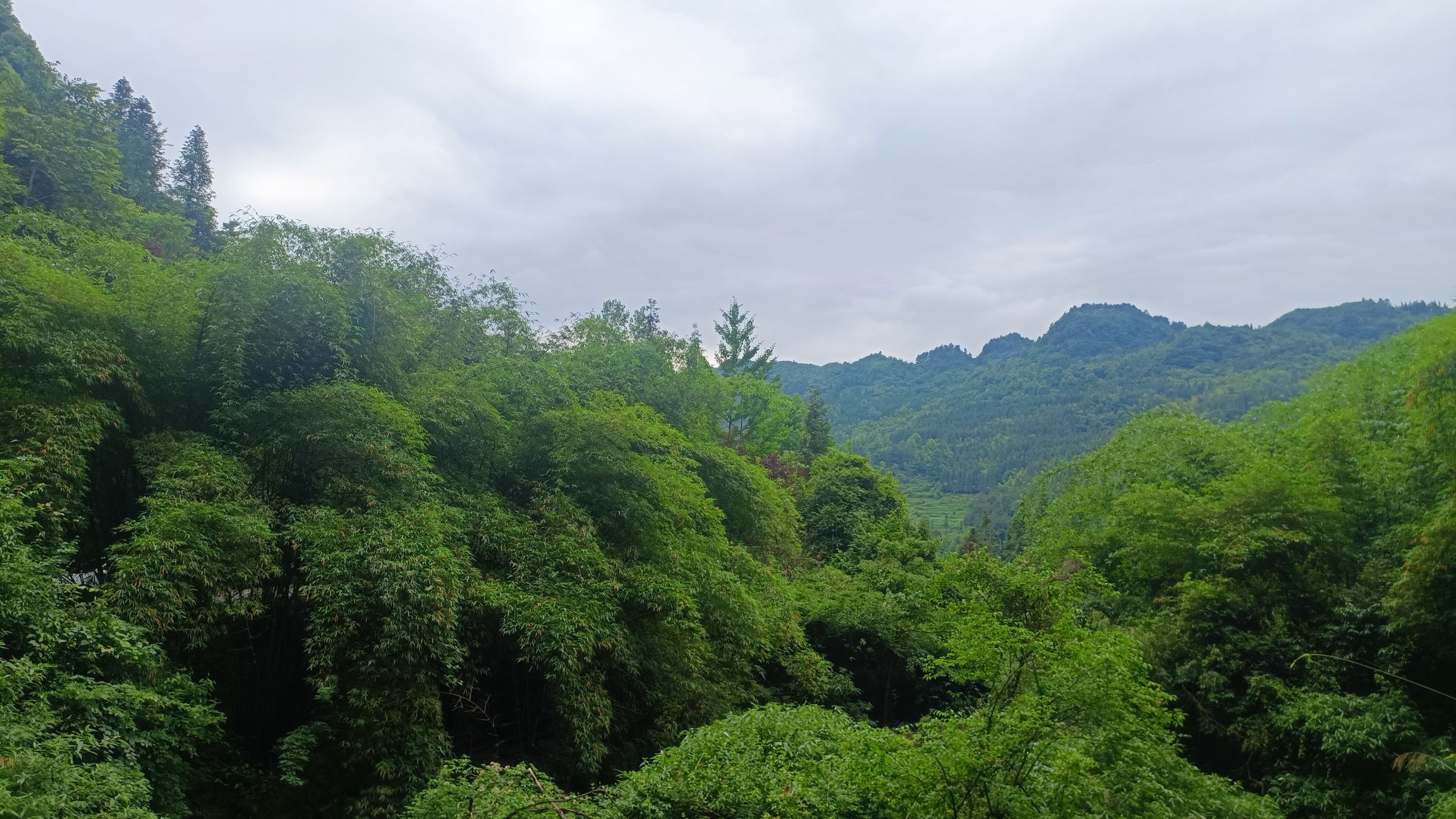 花画小镇旅行图片 2