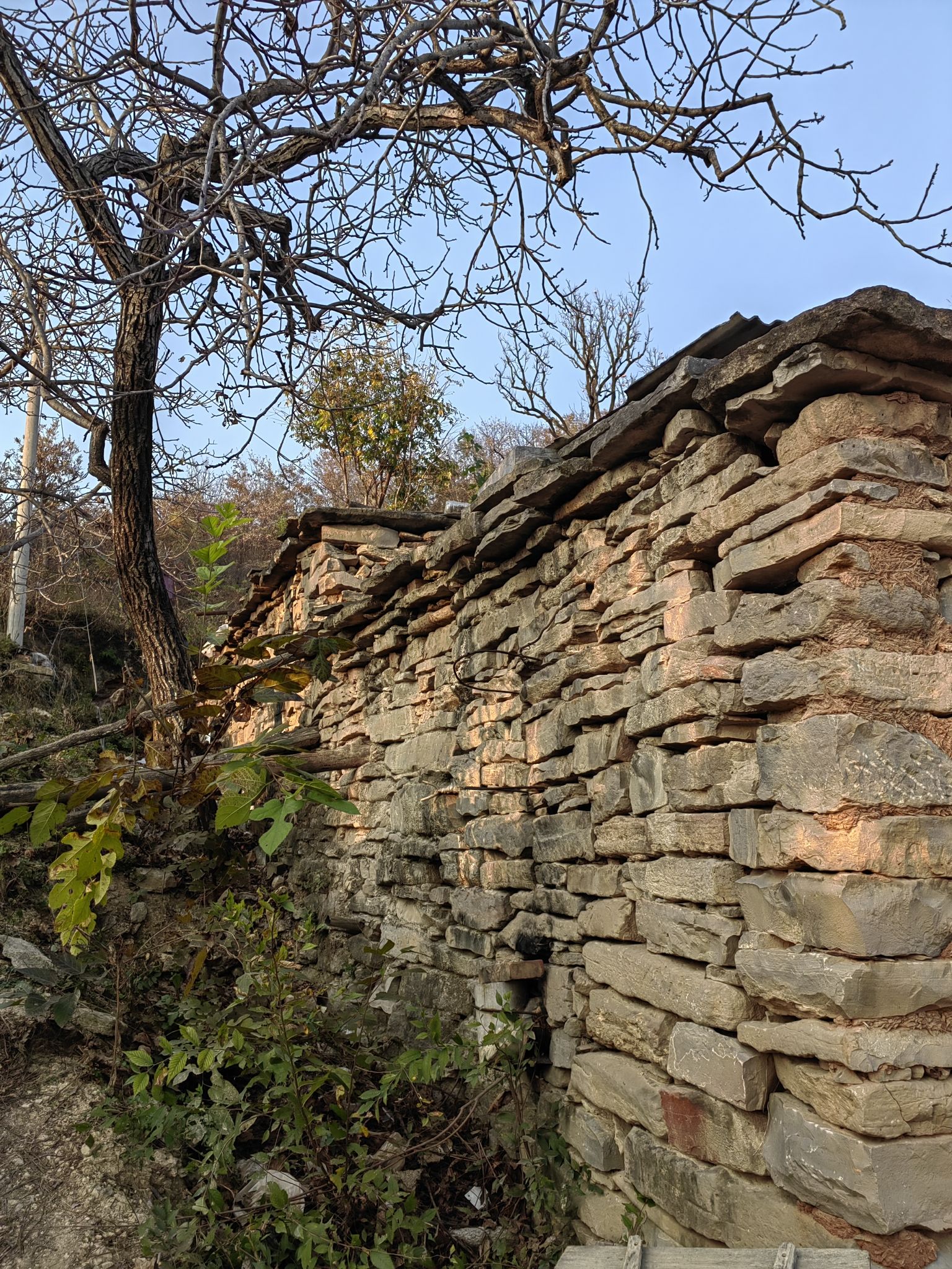 上云台景区旅行图片 3