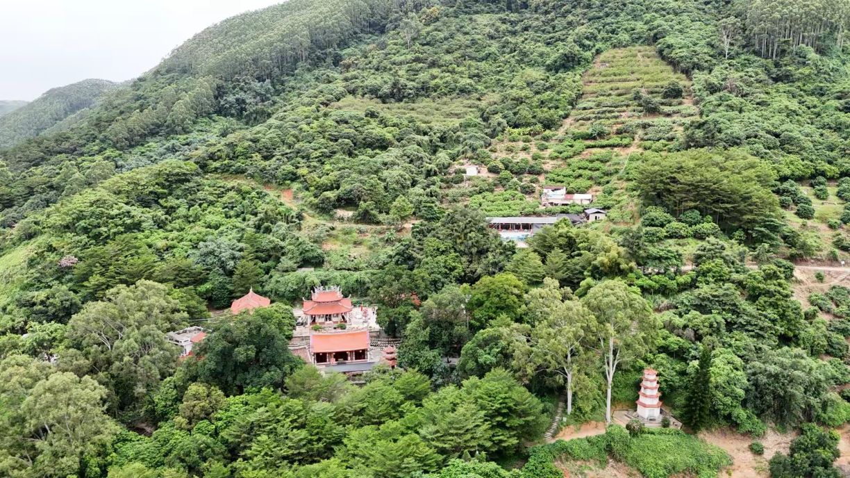 林前岩古道寺实景照片