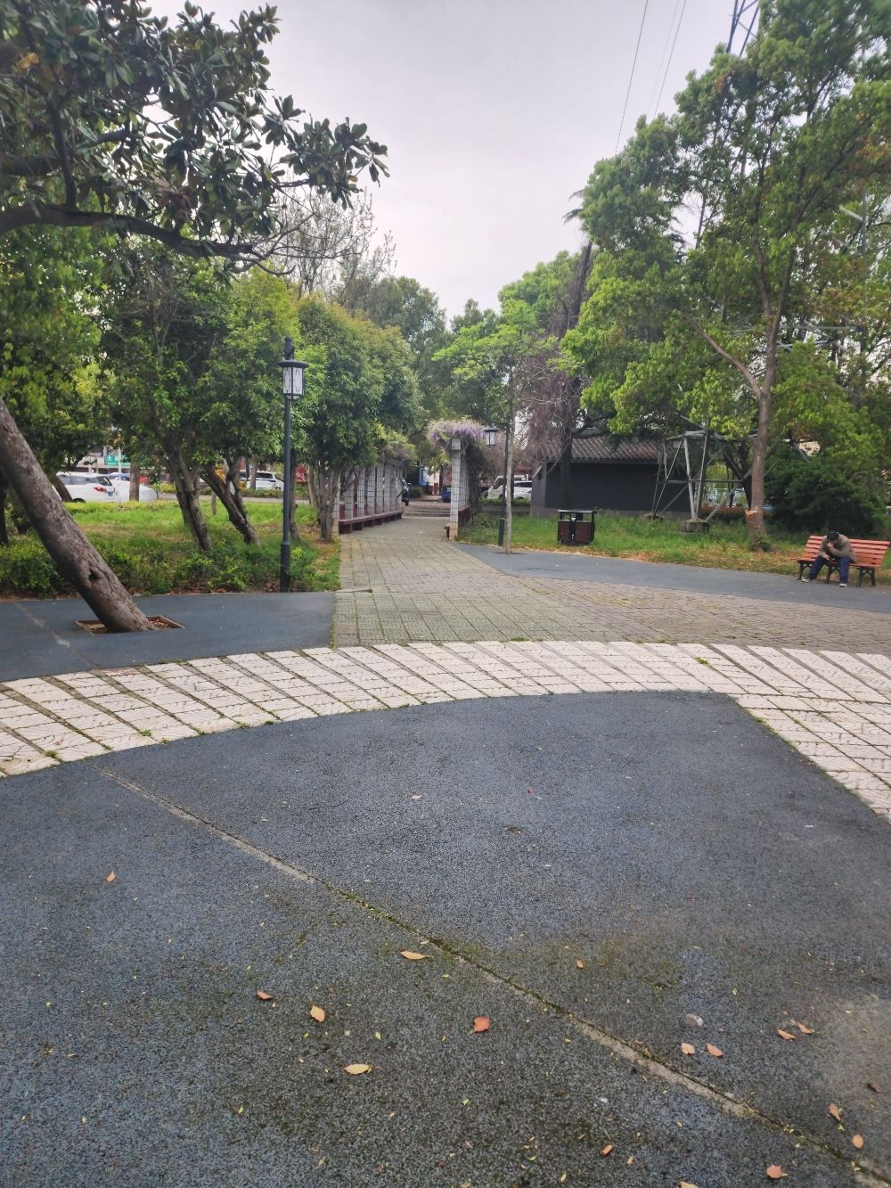牟山镇车站公园旅行图片 2