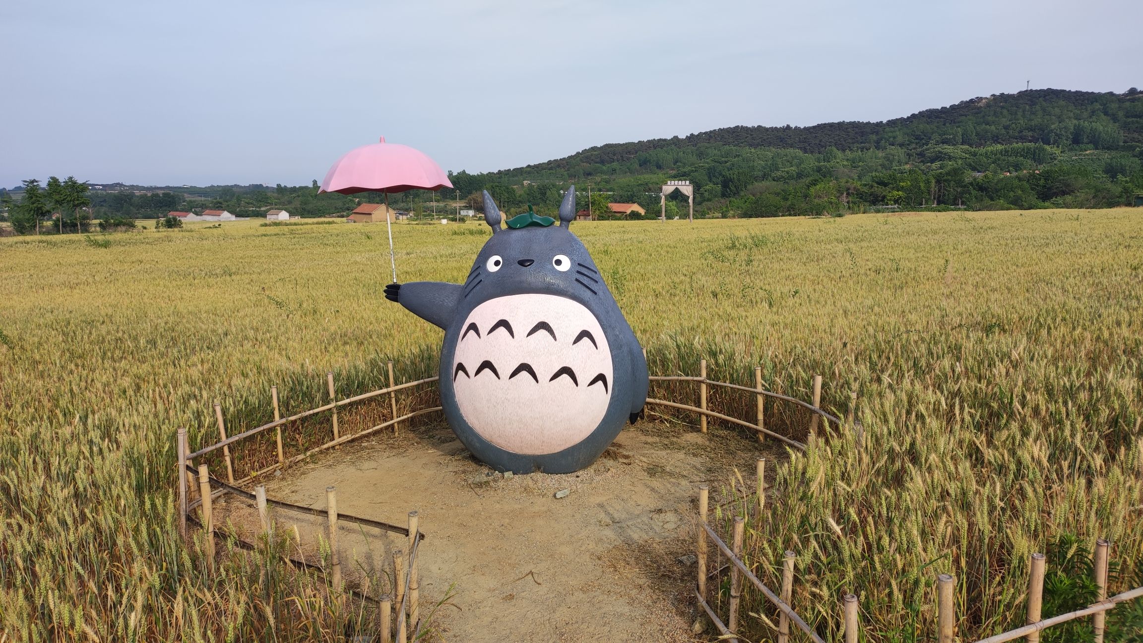 日照驻龙山风景区旅行图片 2