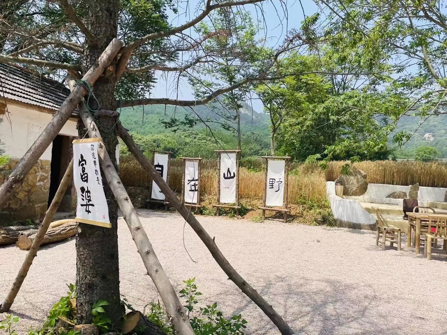 日照驻龙山风景区旅行图片 1