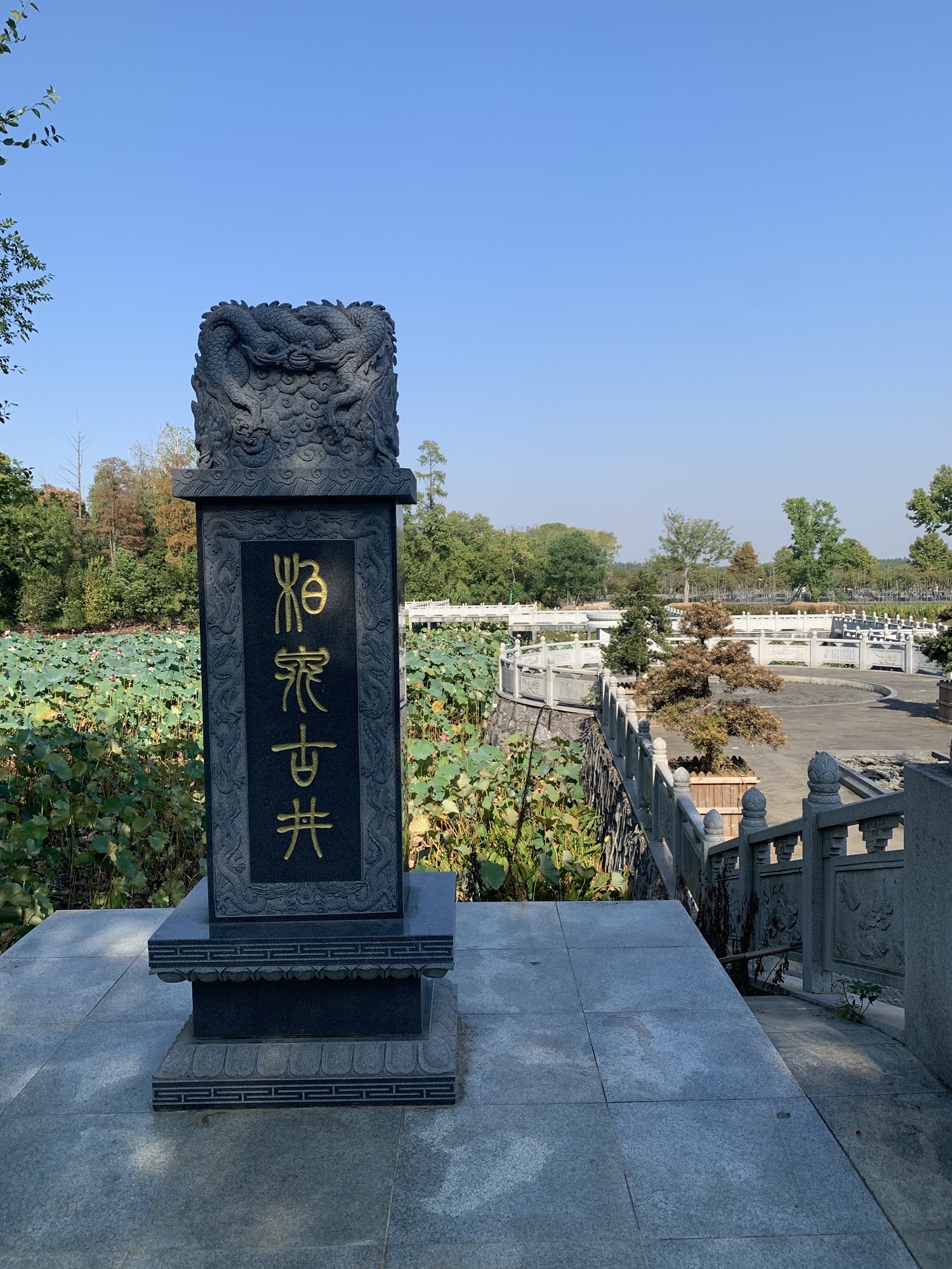 柏泉古井旅行图片 1