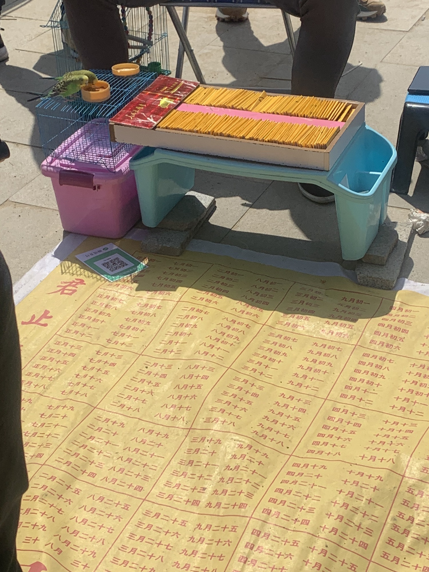 九华山公园旅行图片 3
