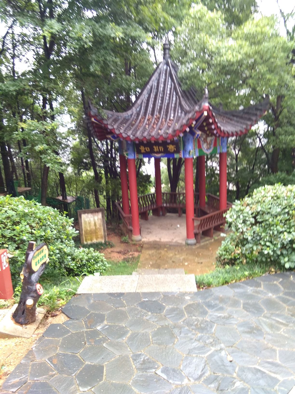 仙山公园旅行图片 1