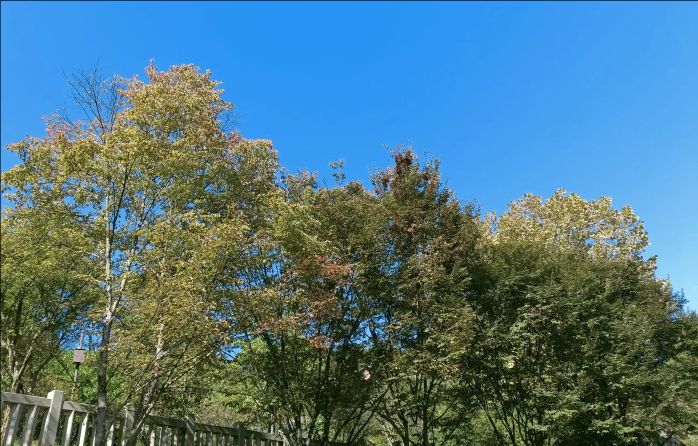 仙山公园旅行图片 2