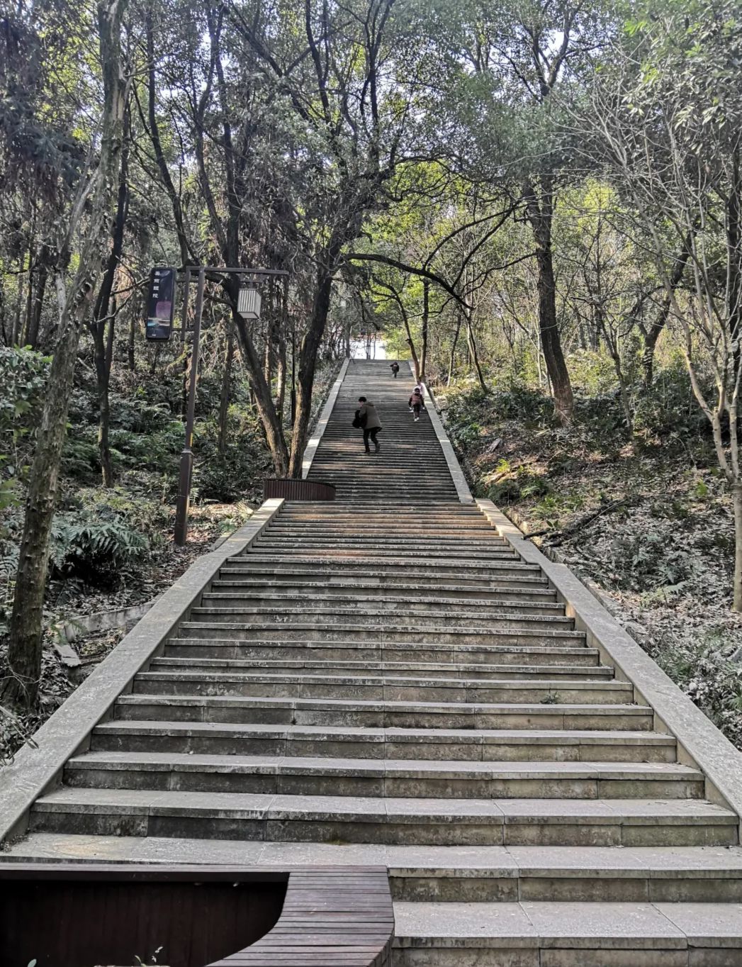 仙山公园旅行图片 2