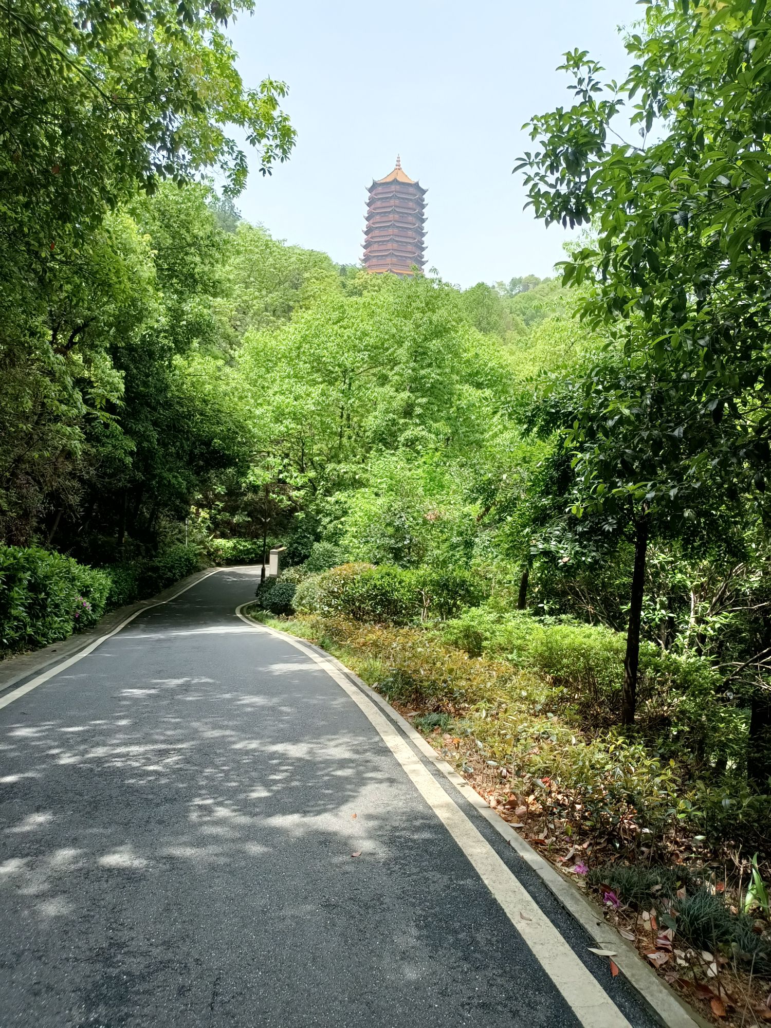仙山公园旅行图片 3