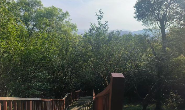 仙山公园旅行图片 1