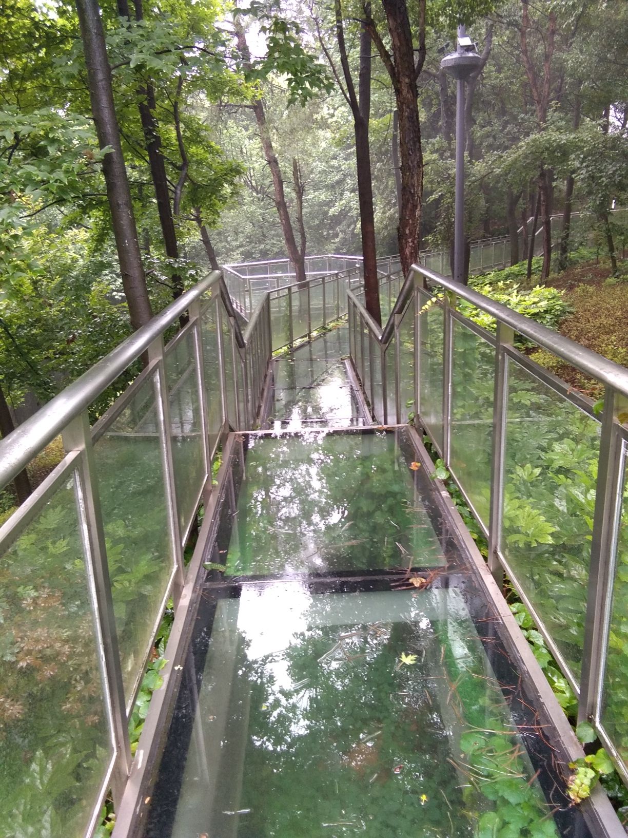 仙山公园旅行图片 3