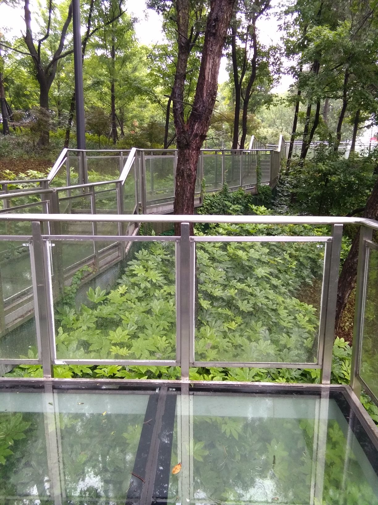 仙山公园旅行图片 2