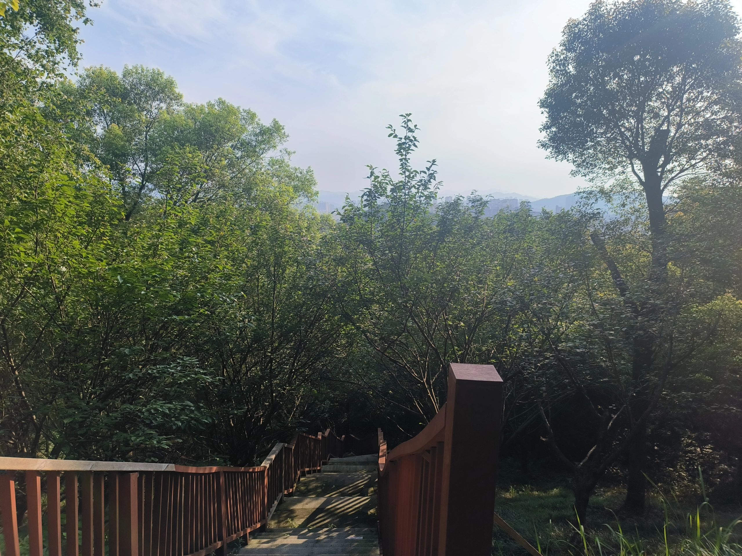仙山公园旅行图片 1