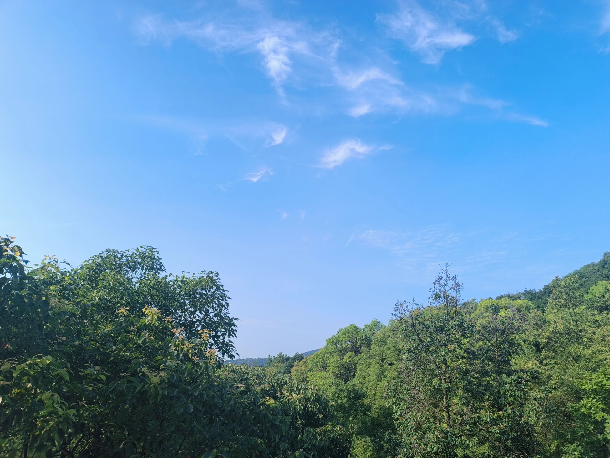 仙山公园旅行图片 2