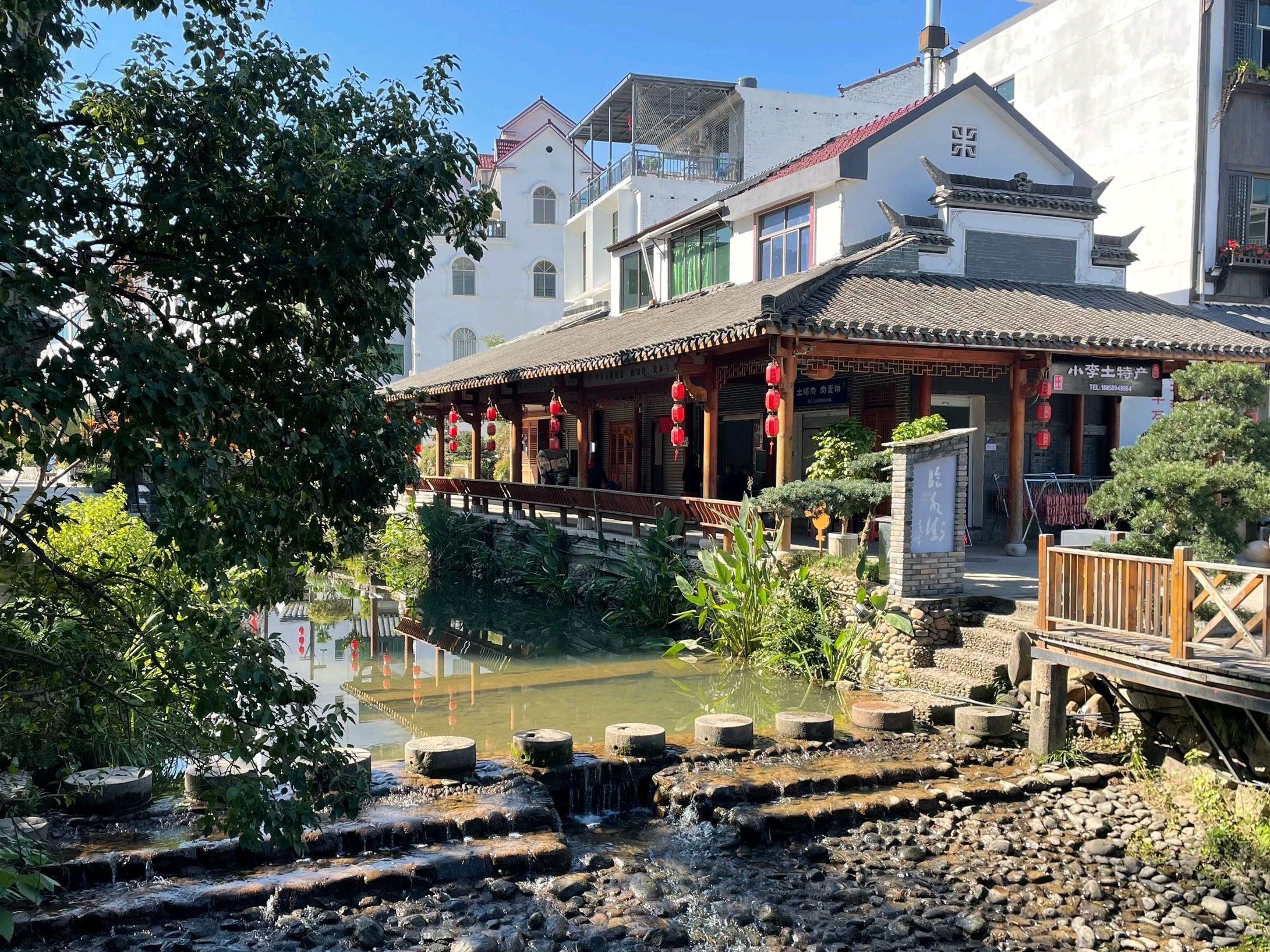 前仓镇大陈风景区旅行图片 2