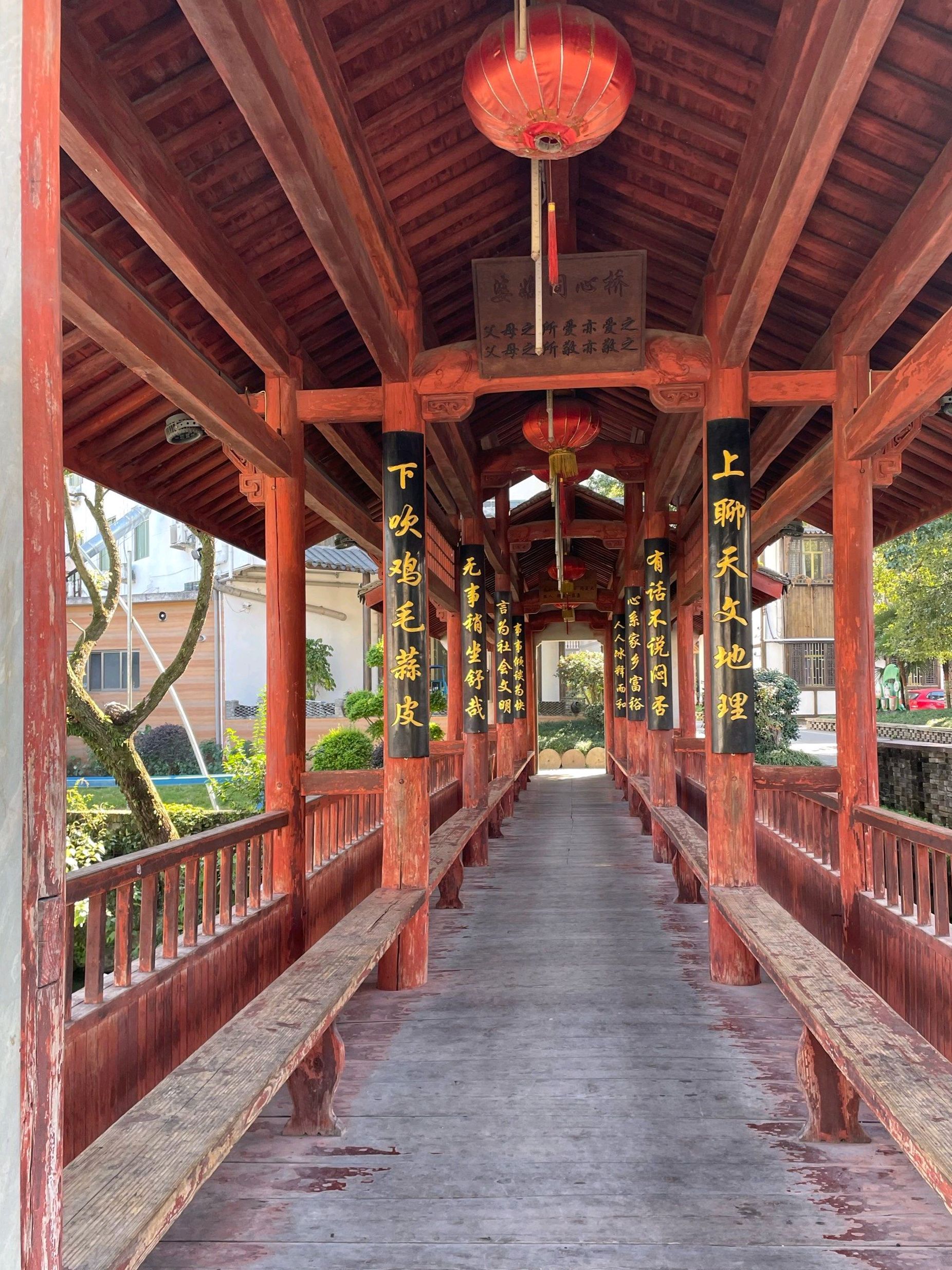 前仓镇大陈风景区旅行图片 3