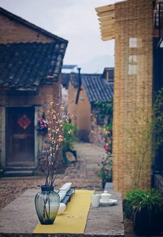 前仓镇大陈风景区旅行图片 1