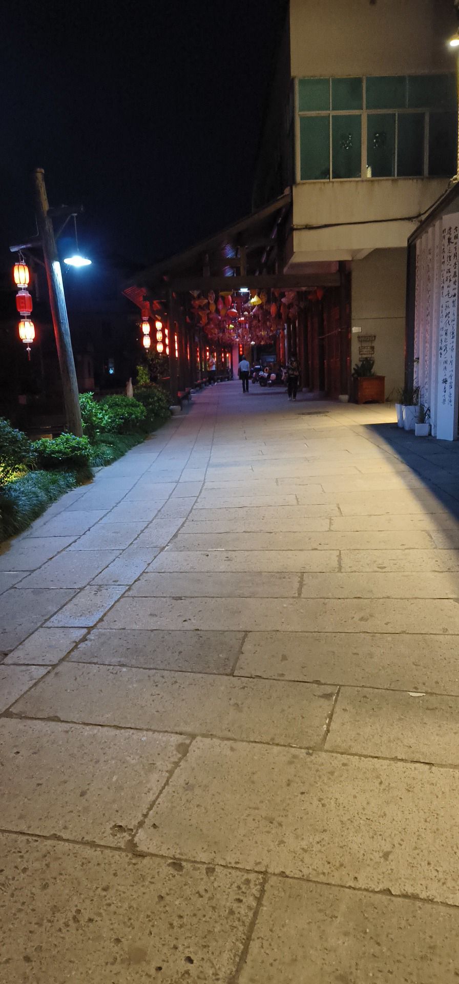 前仓镇大陈风景区旅行图片 2