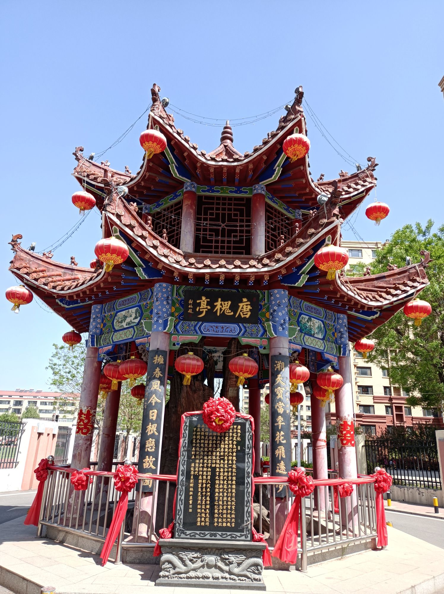 唐槐亭旅行图片 1