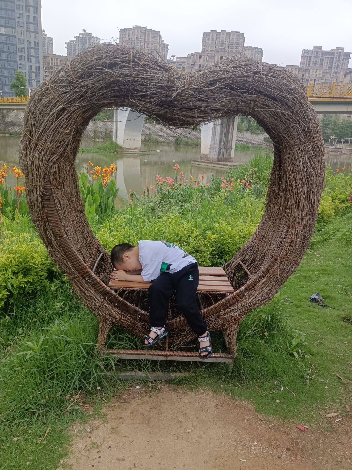 渡头湿地公园旅行图片 2