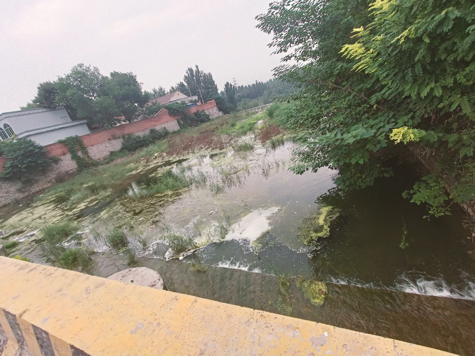 广固城遗址旅行图片 2