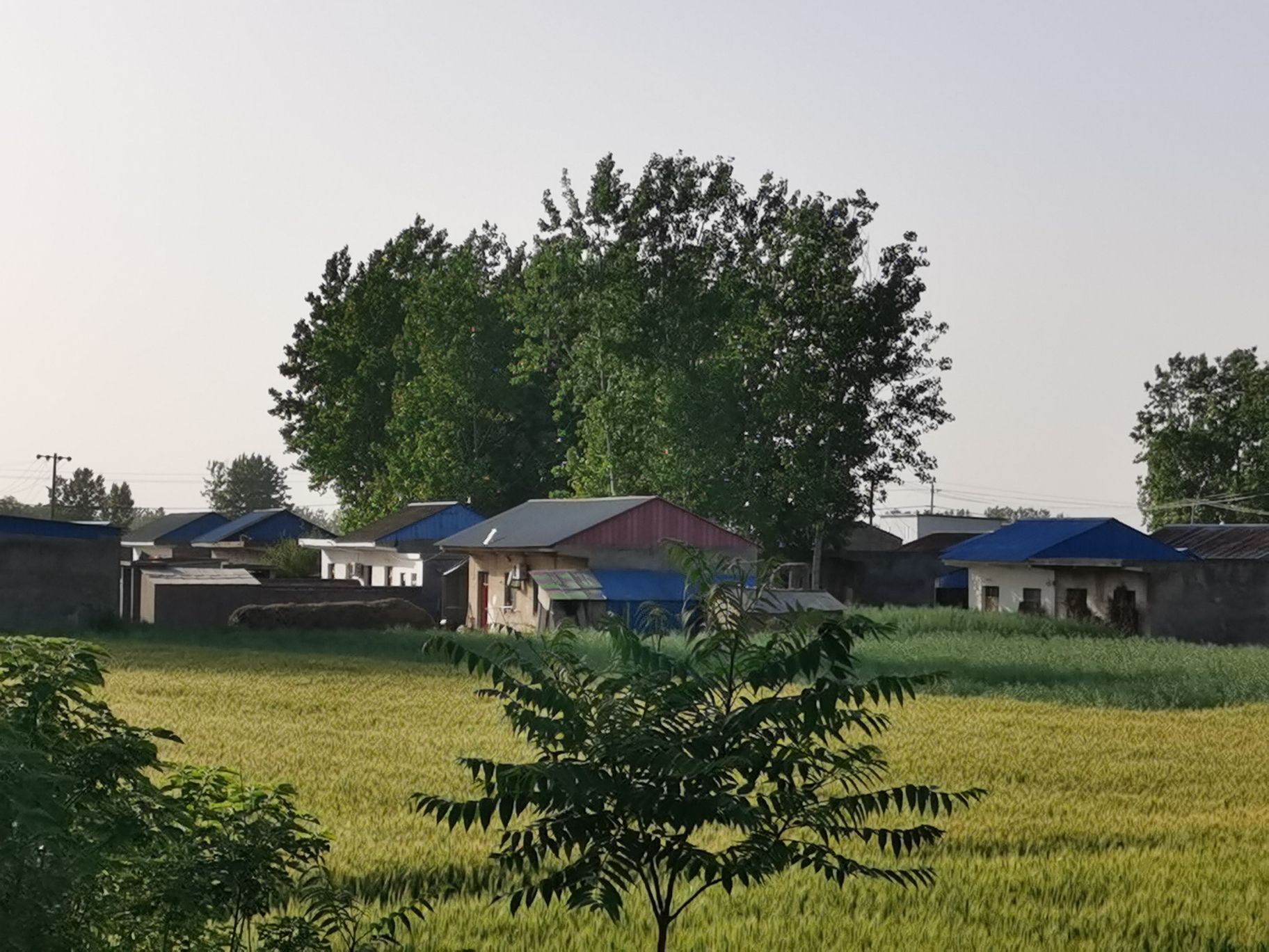 安徽李府公馆旅行图片 1
