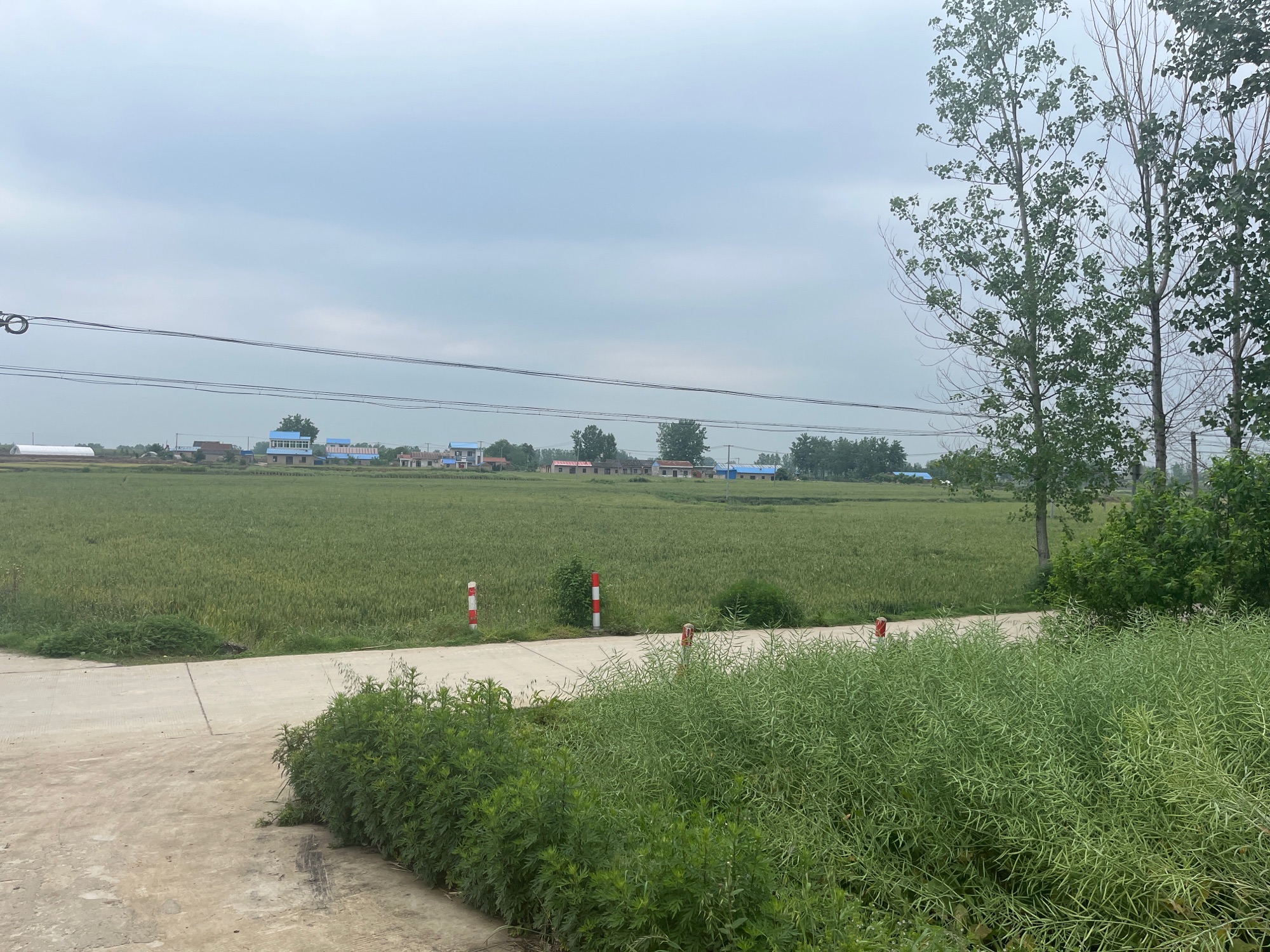 安徽李府公馆旅行图片