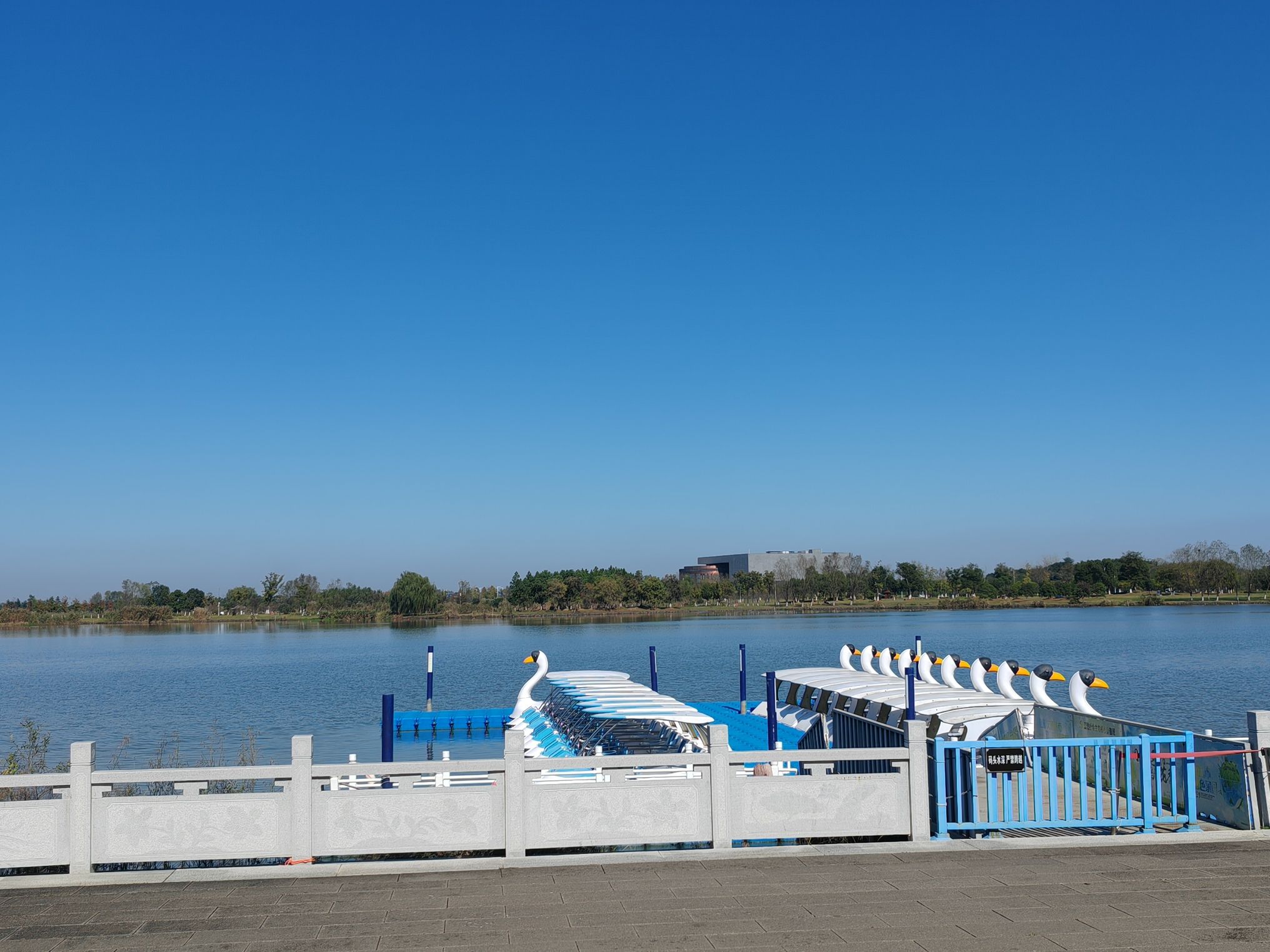 西湖城市湿地公园旅行图片 2