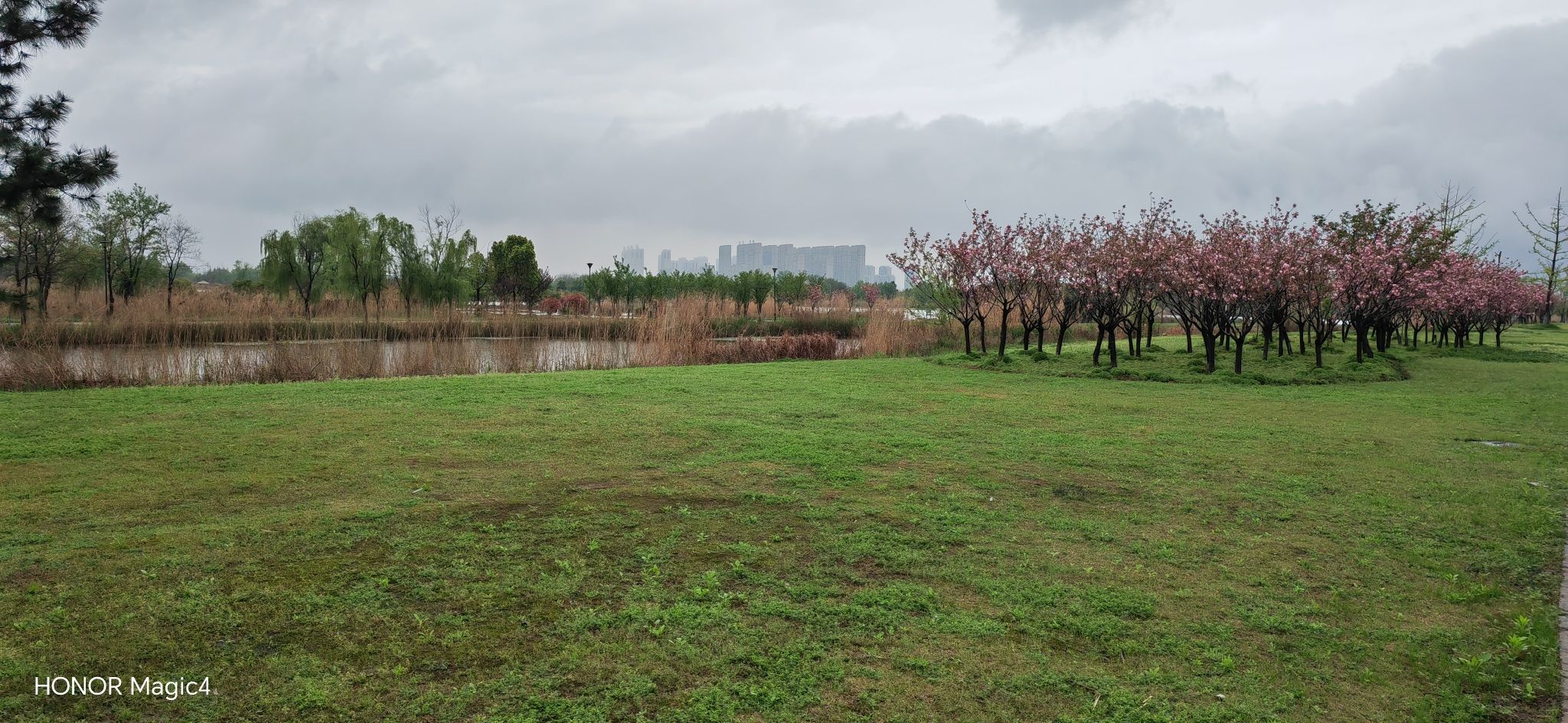 西湖城市湿地公园旅行图片 3