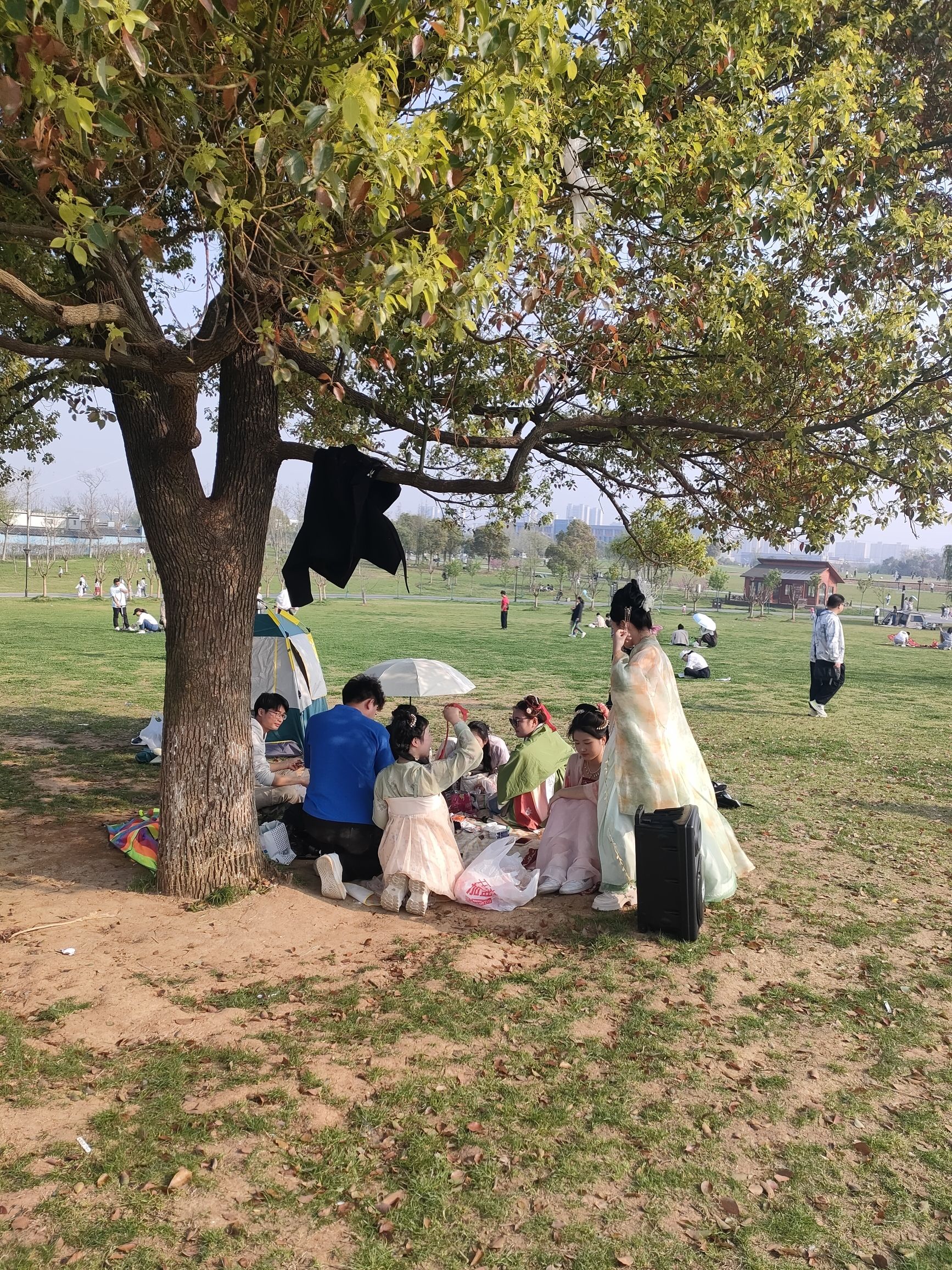 西湖城市湿地公园旅行图片 2
