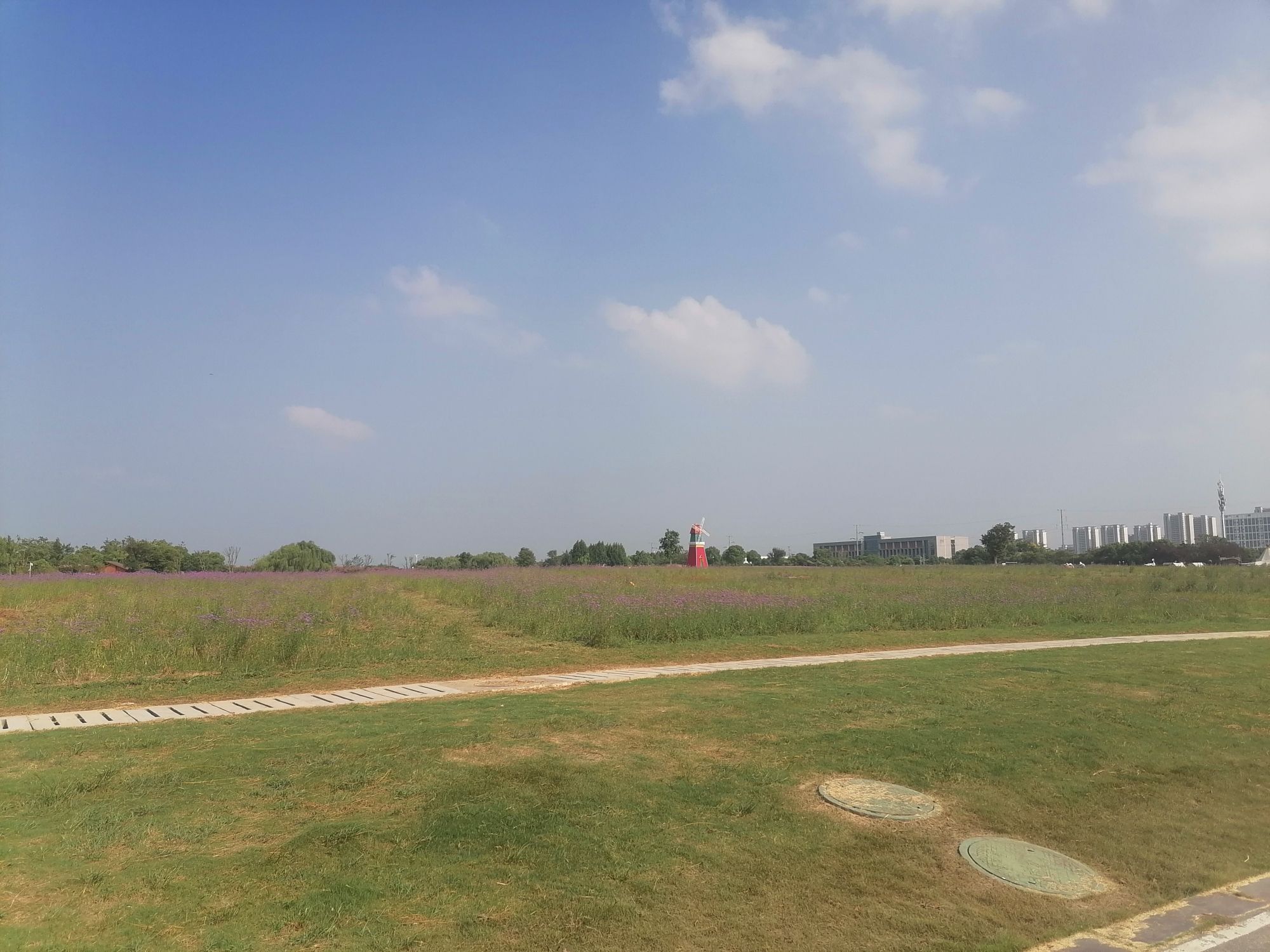 西湖城市湿地公园旅行图片 2