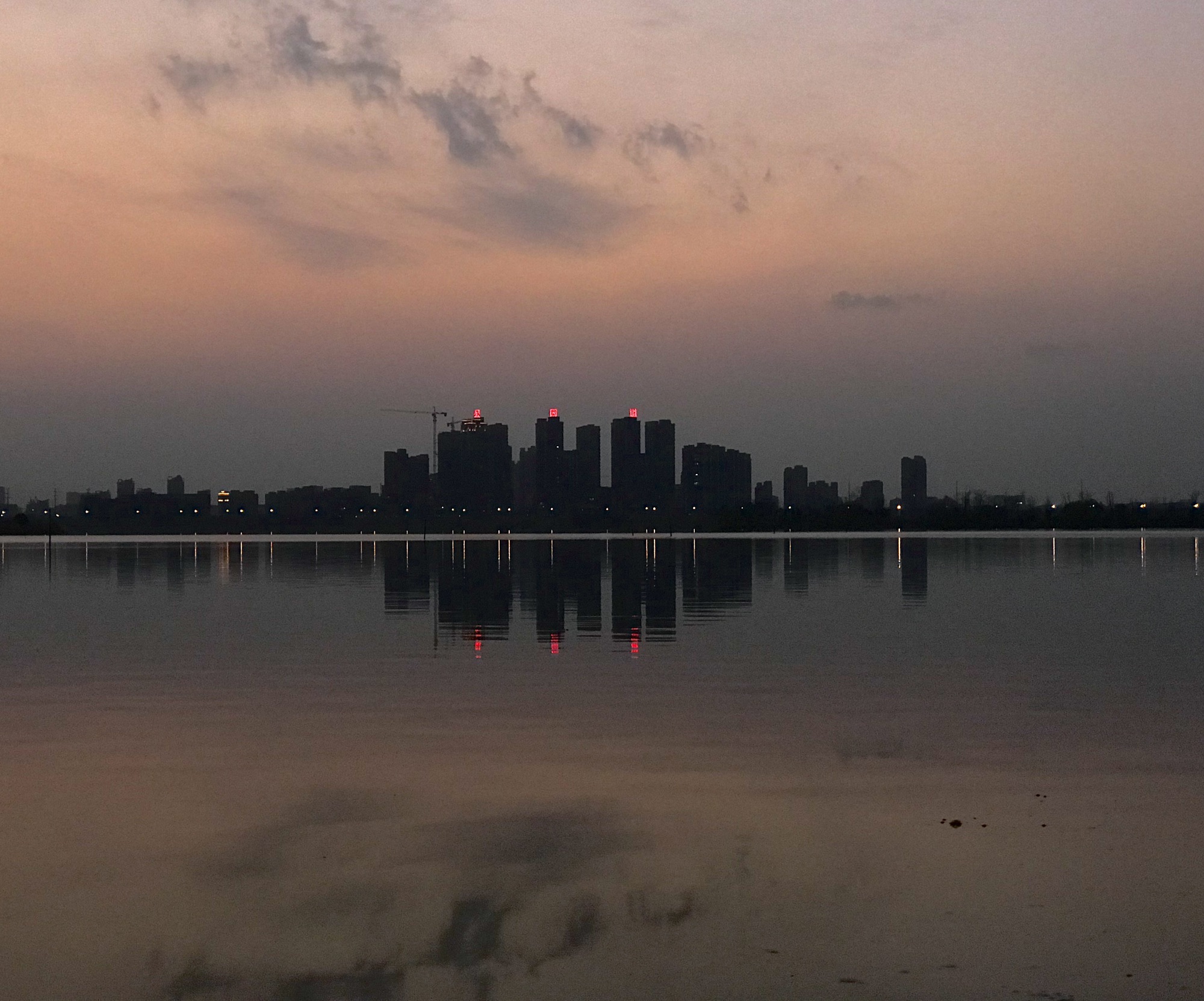 西湖城市湿地公园旅行图片 3