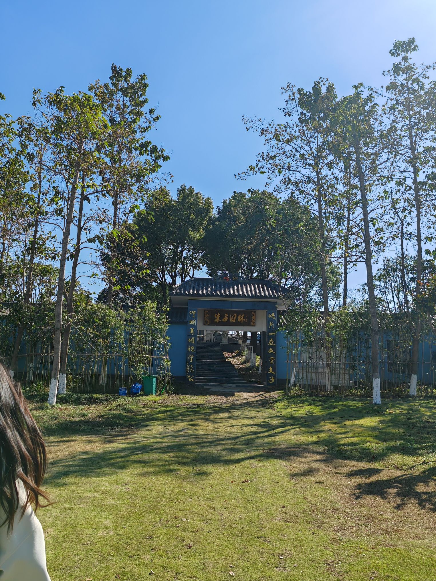 西湖城市湿地公园旅行图片 3