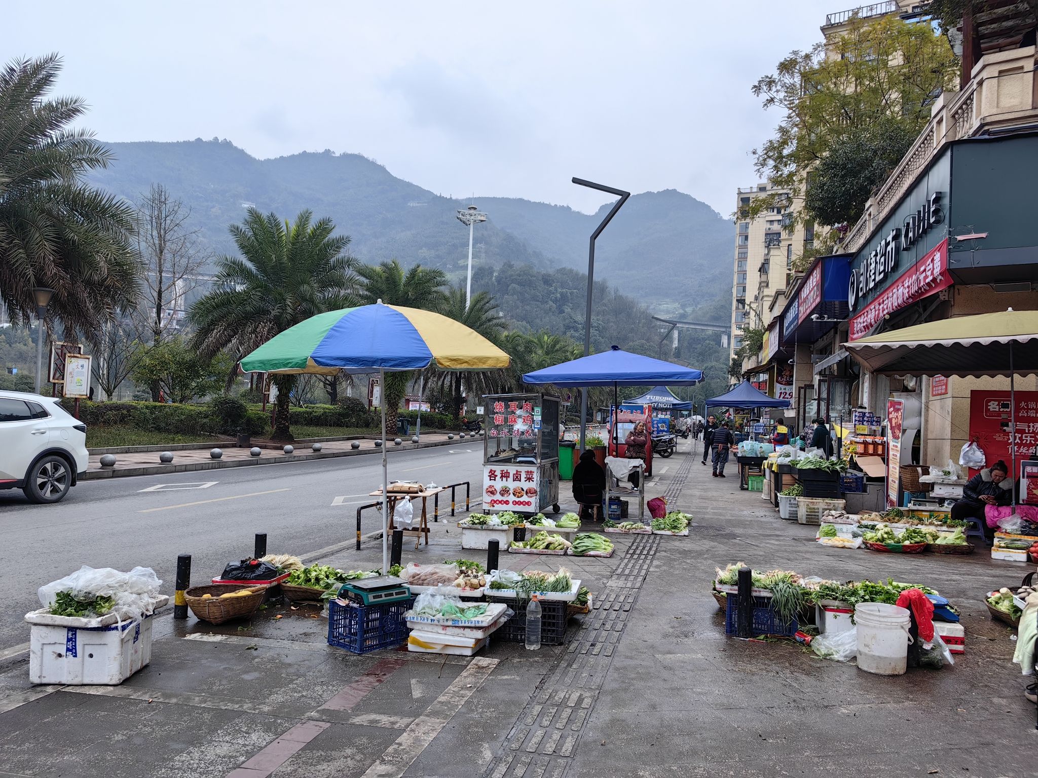 鱼凫公园旅行图片 1