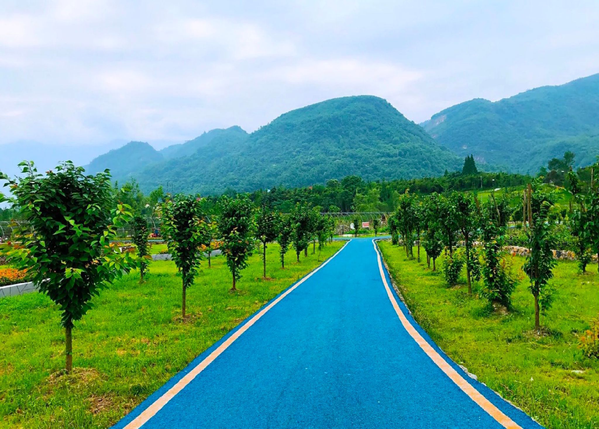 鱼凫公园旅行图片 2