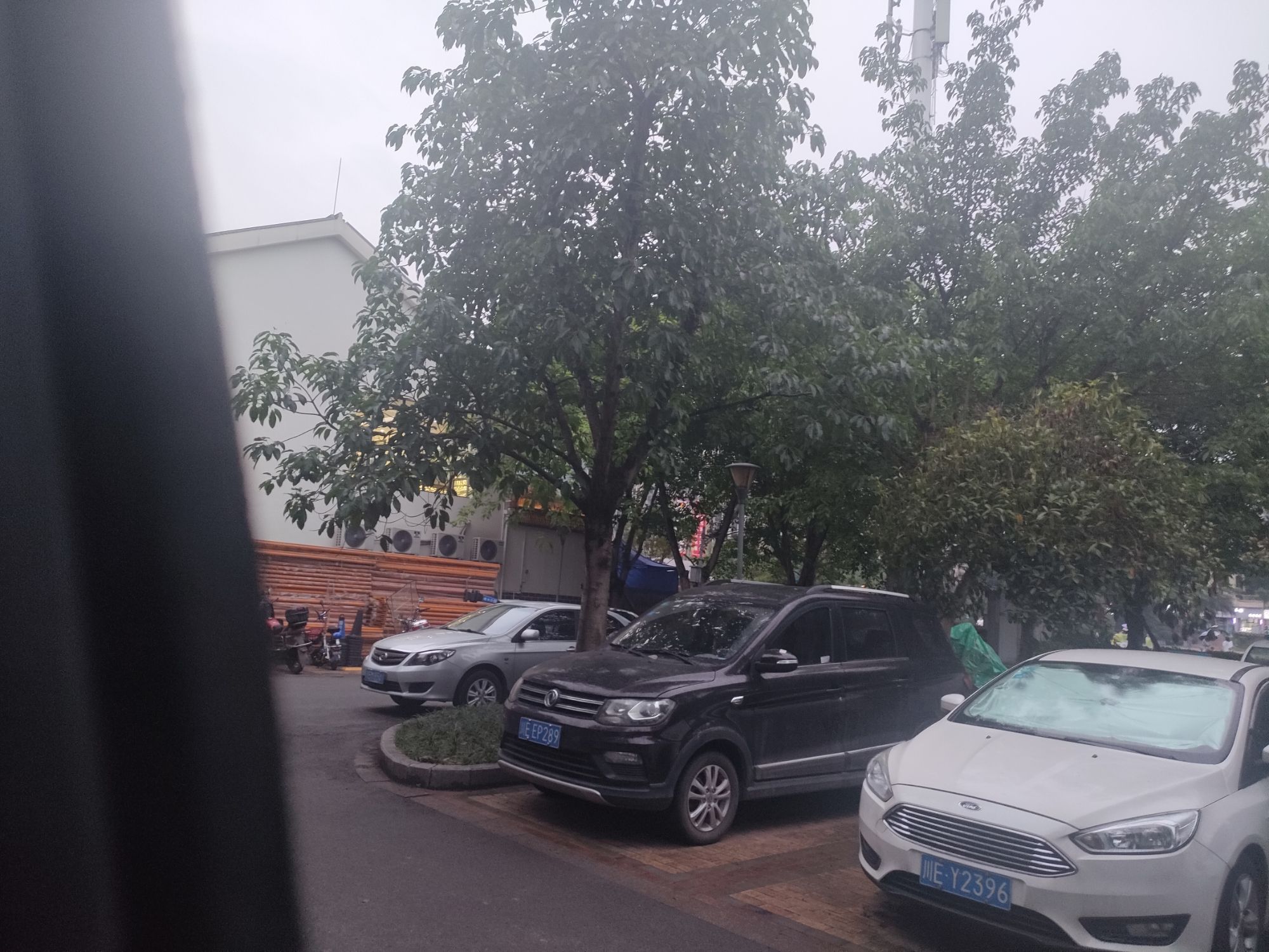 鱼凫公园旅行图片 1
