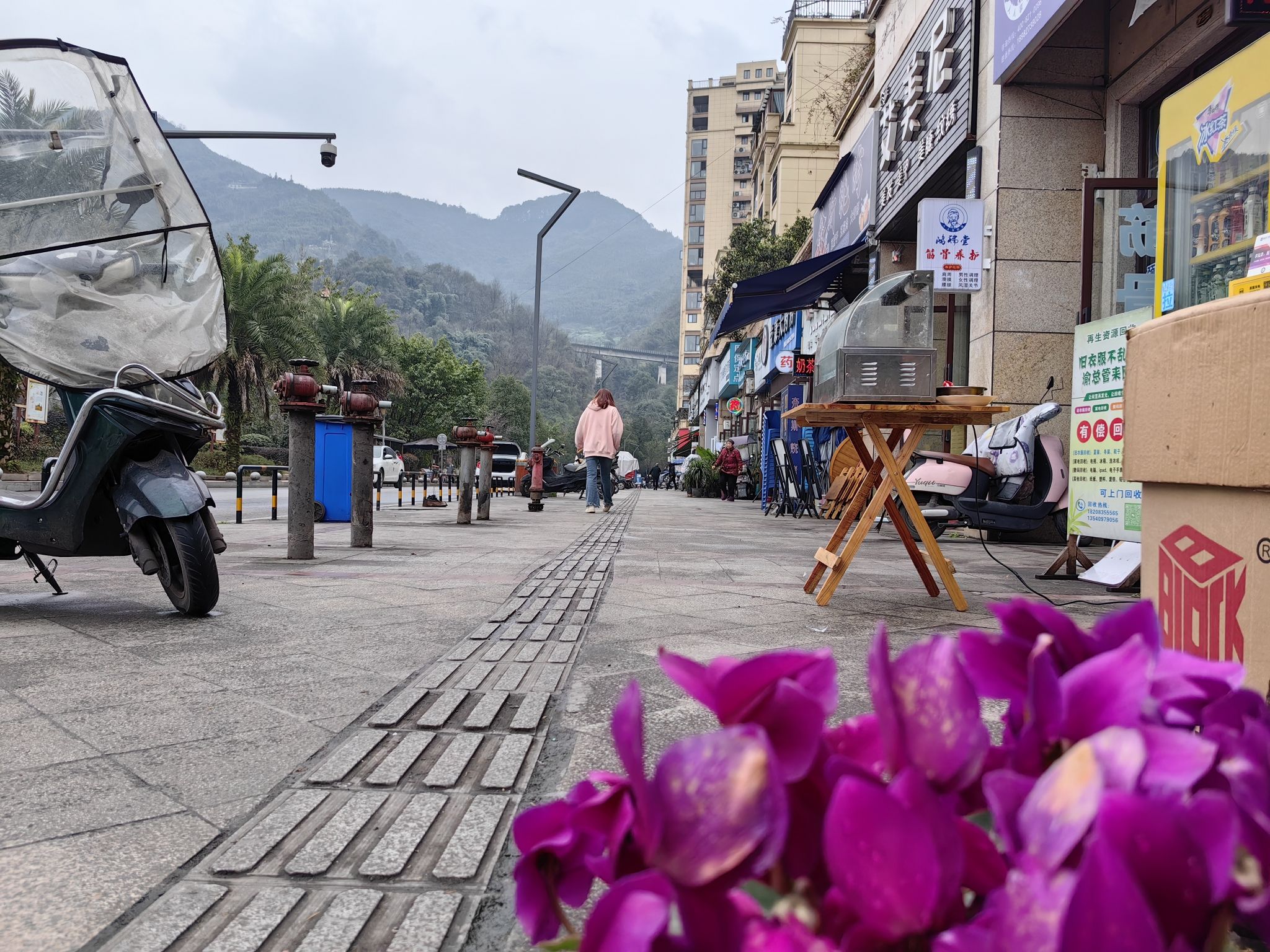 鱼凫公园旅行图片 3