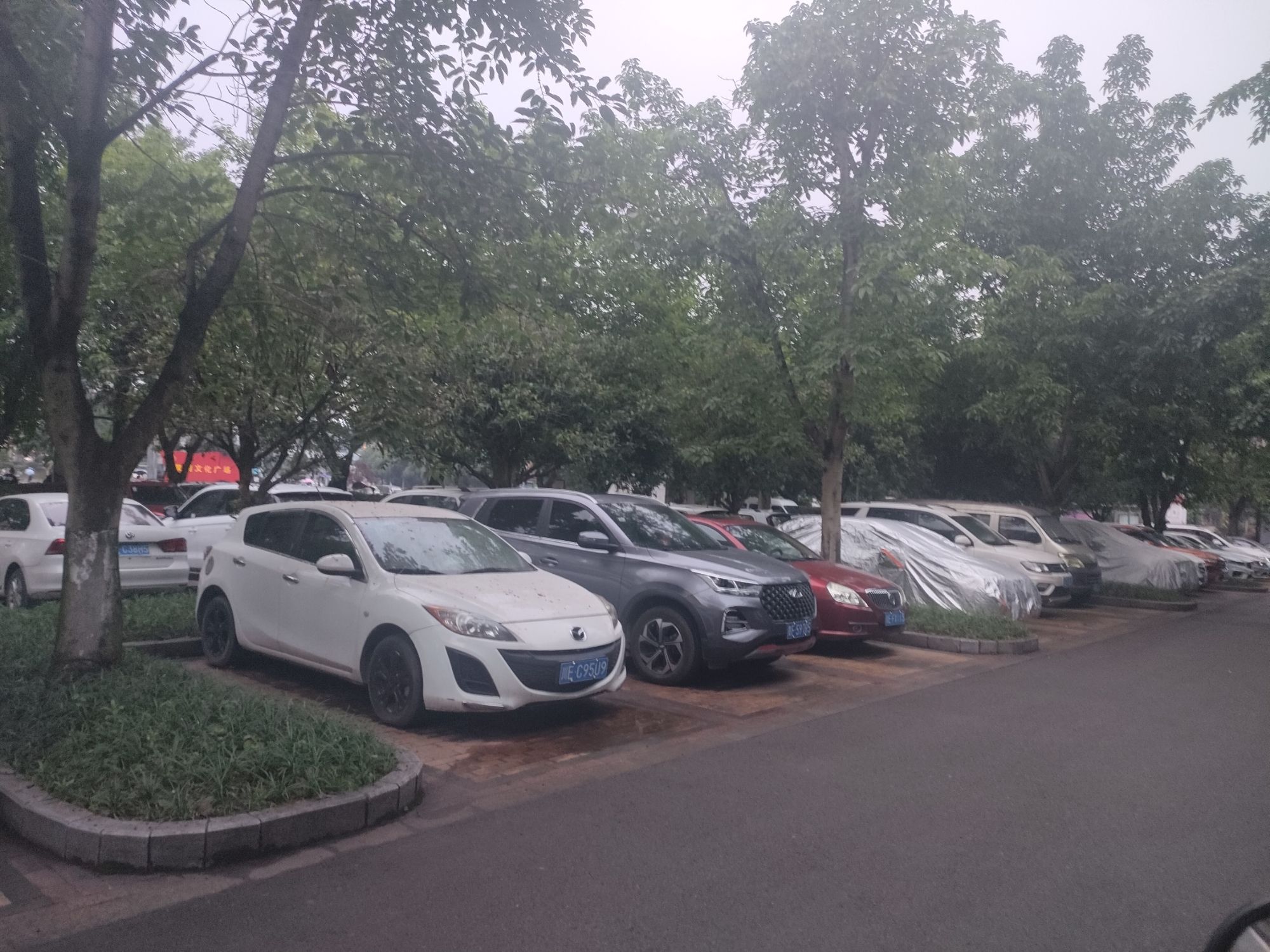 鱼凫公园旅行图片 3