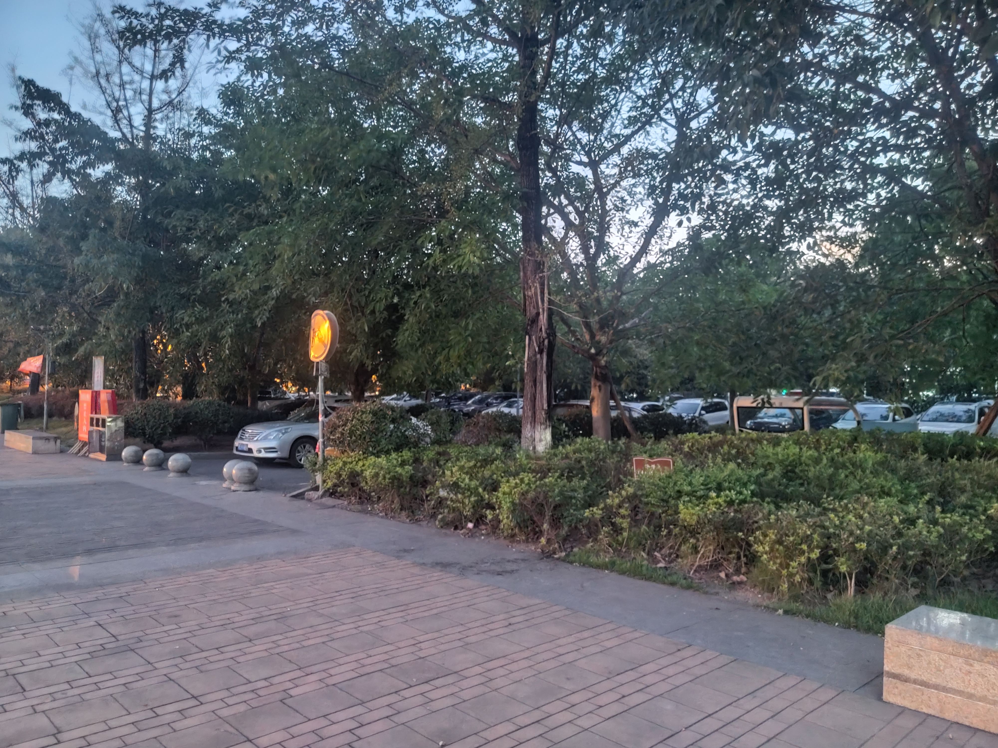 鱼凫公园旅行图片 1