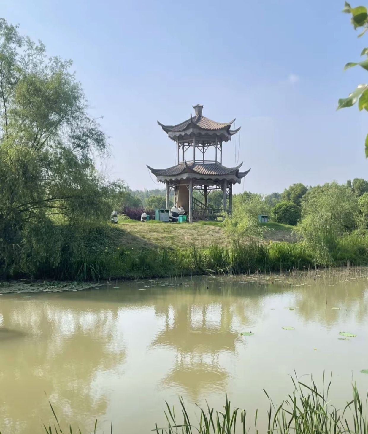 洞庭花海旅行图片 2