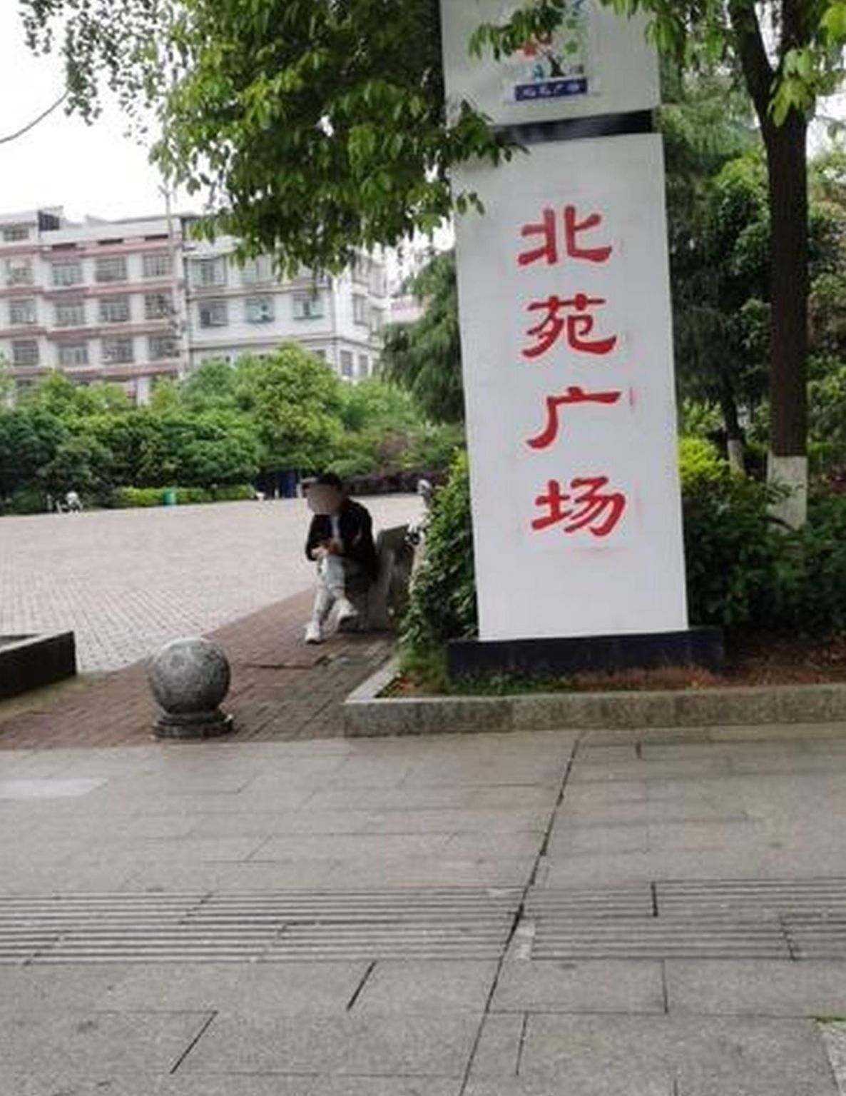 北苑广场旅行图片 1