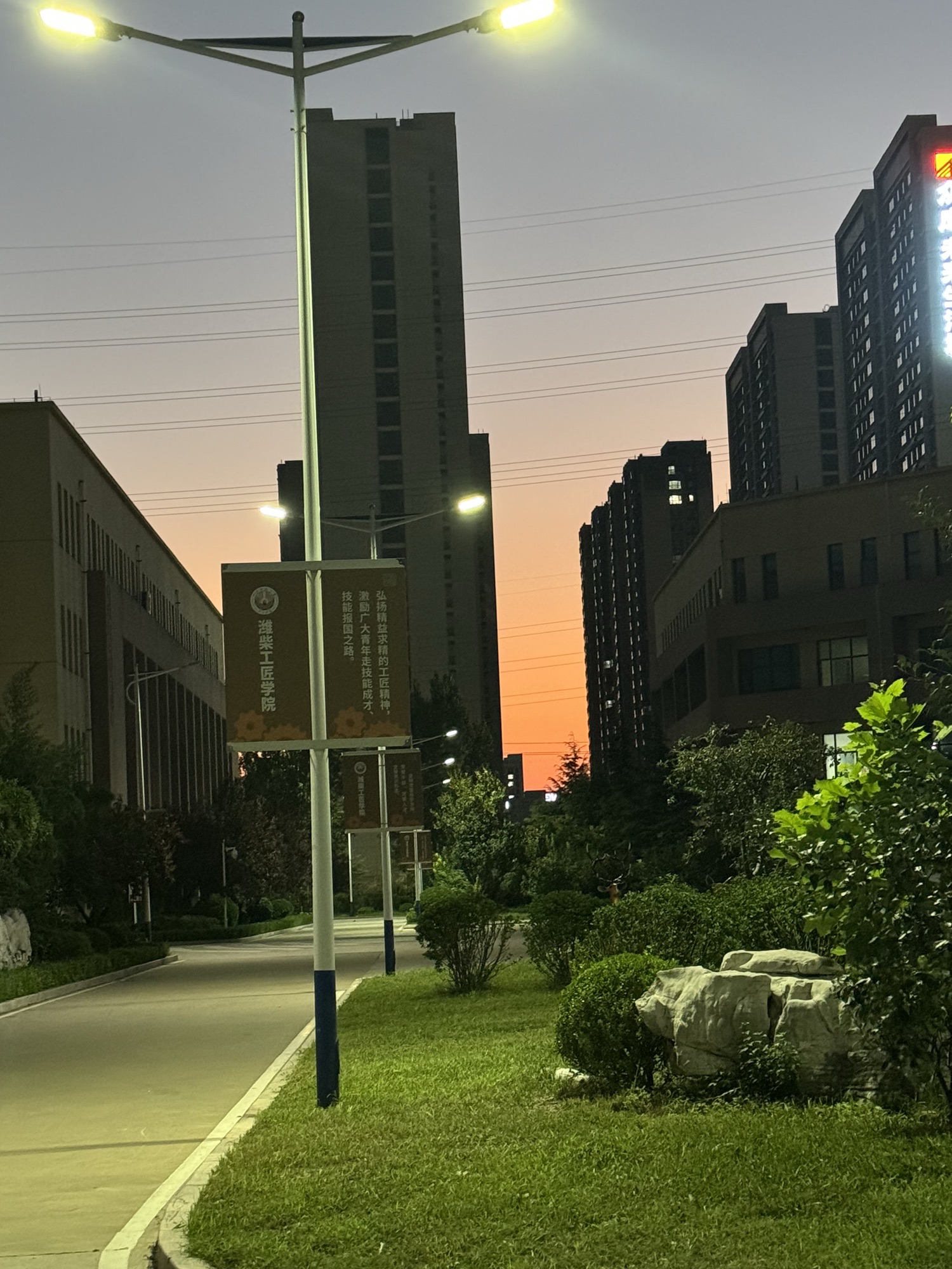 潍柴大学
