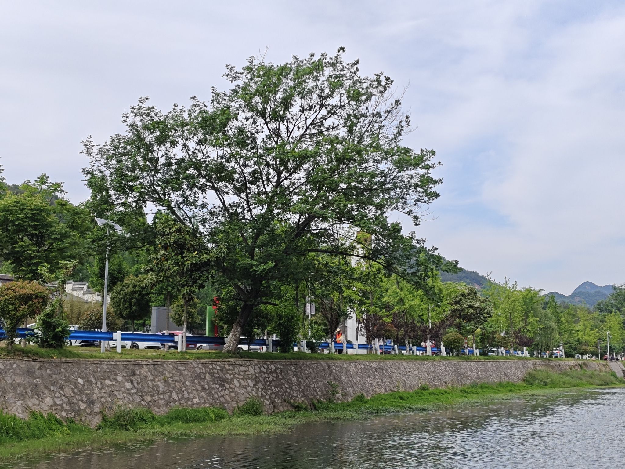 罗山县何家冲景区旅行图片 2