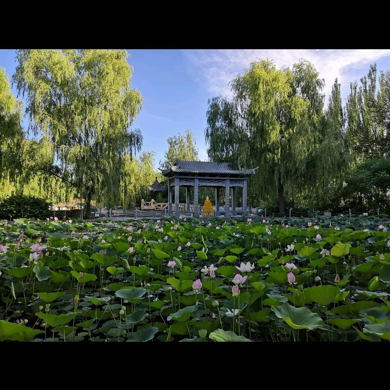 大榆树古榆园旅行图片 2