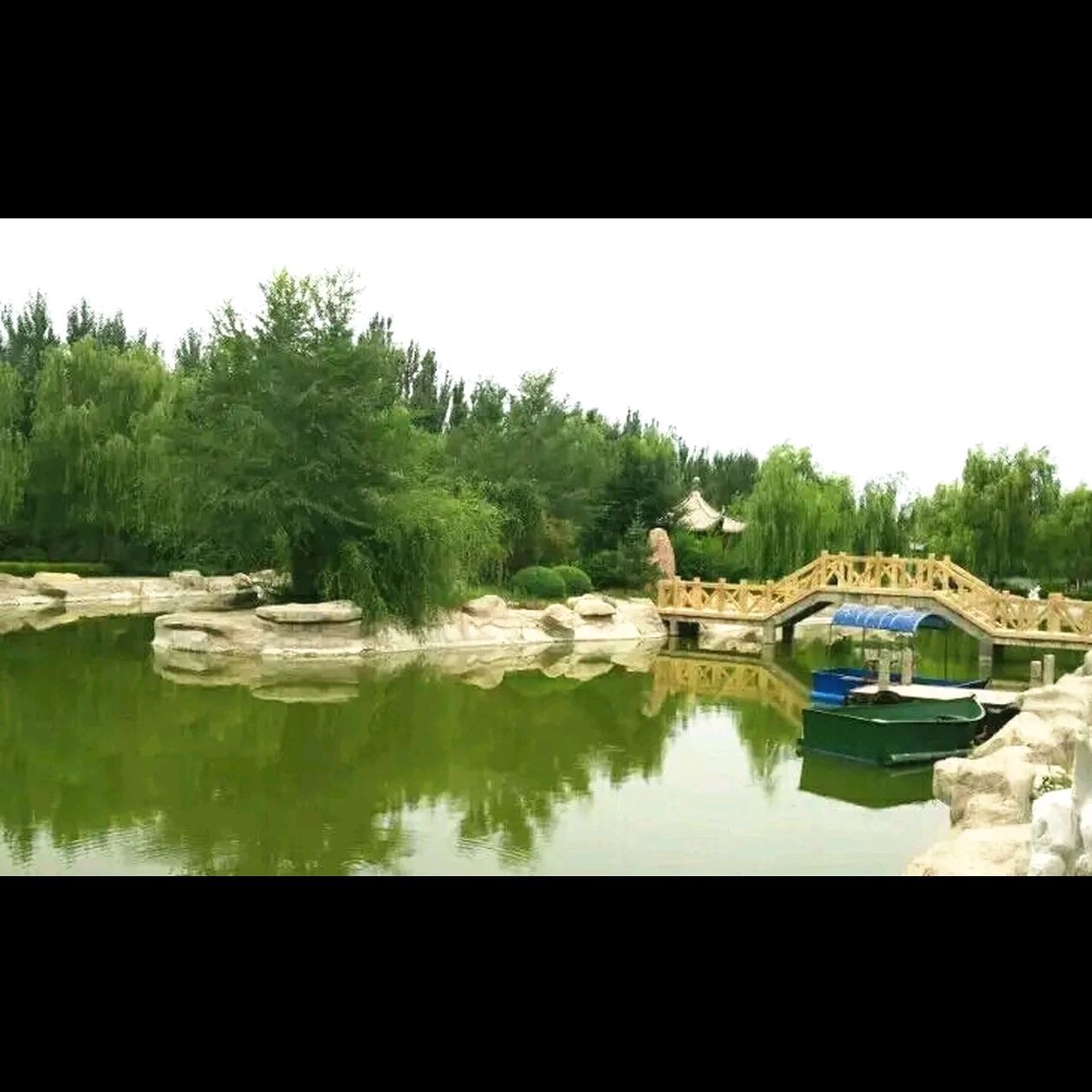 大榆树古榆园旅行图片 3