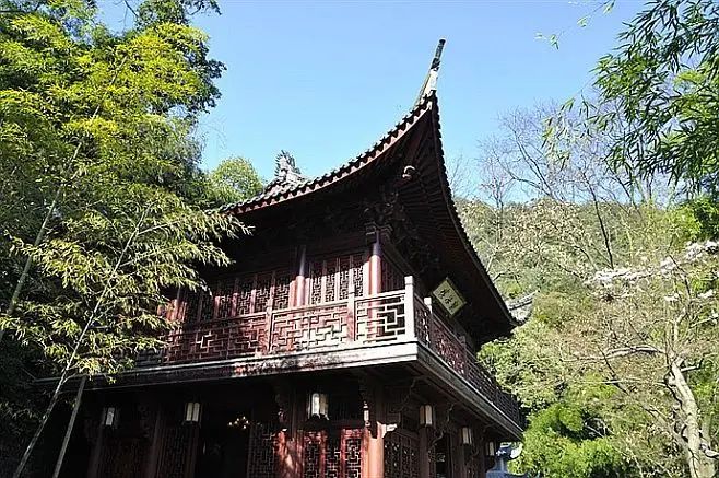 大榆树古榆园旅行图片 3