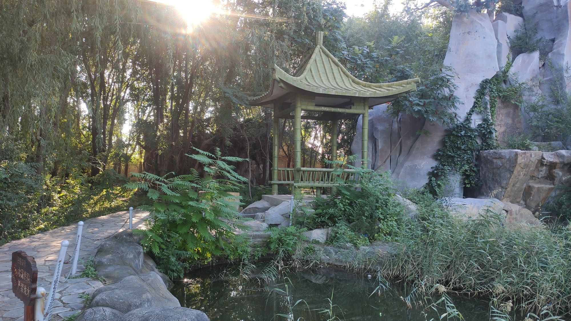 大榆树古榆园旅行图片 3