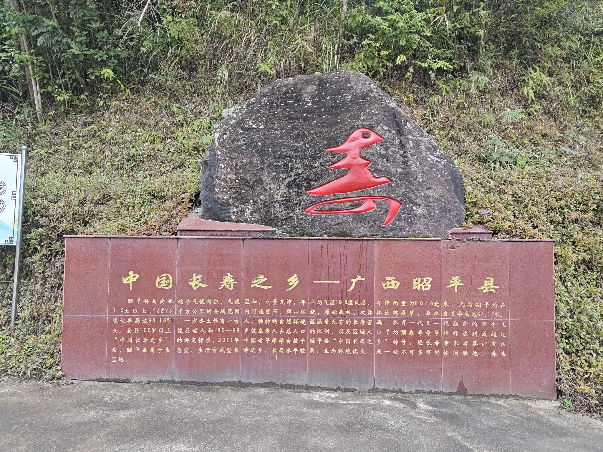 广西昭平县故乡茶博园旅行图片 3